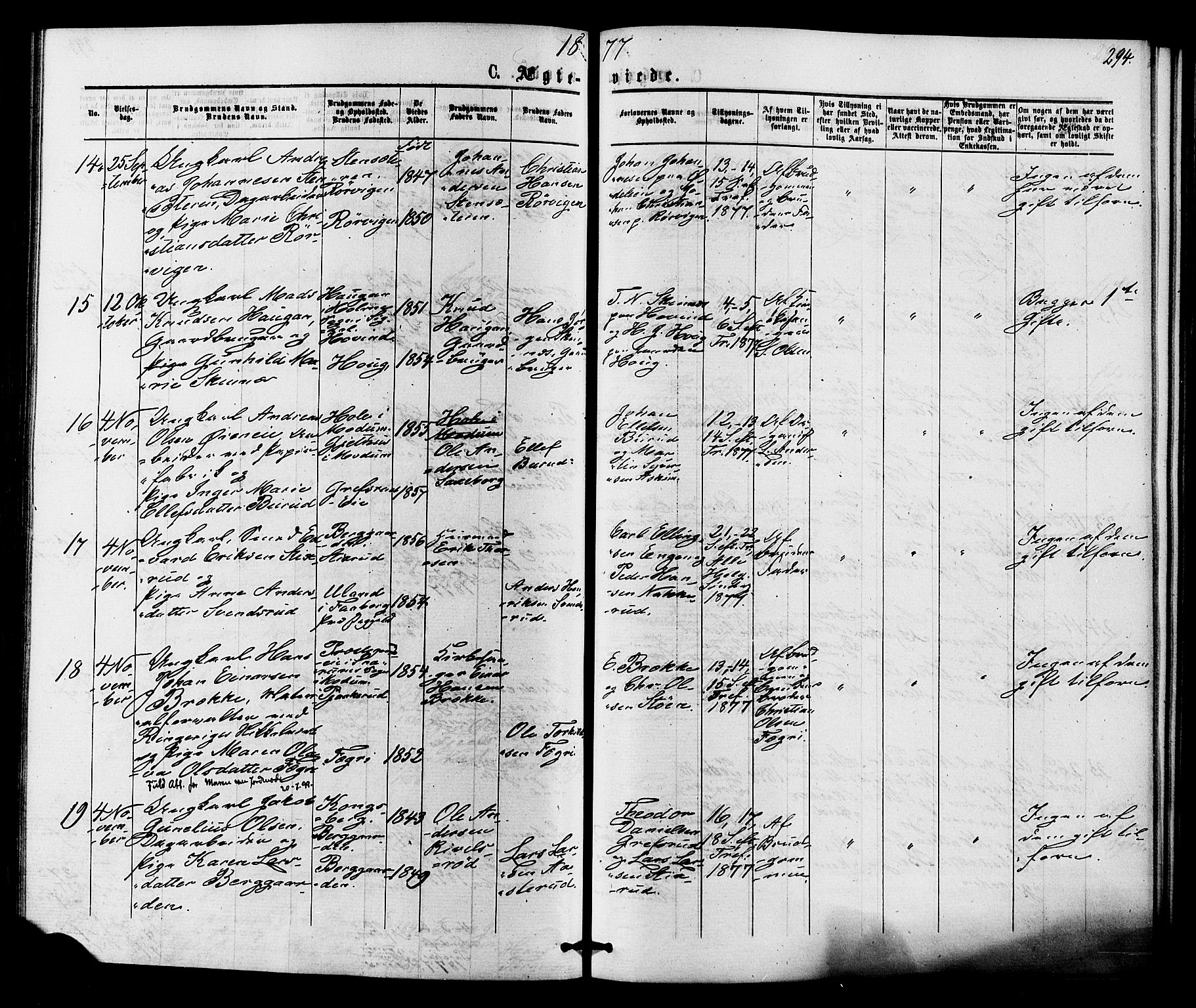 Hole kirkebøker, SAKO/A-228/F/Fa/L0007: Parish register (official) no. I 7, 1873-1877, p. 294