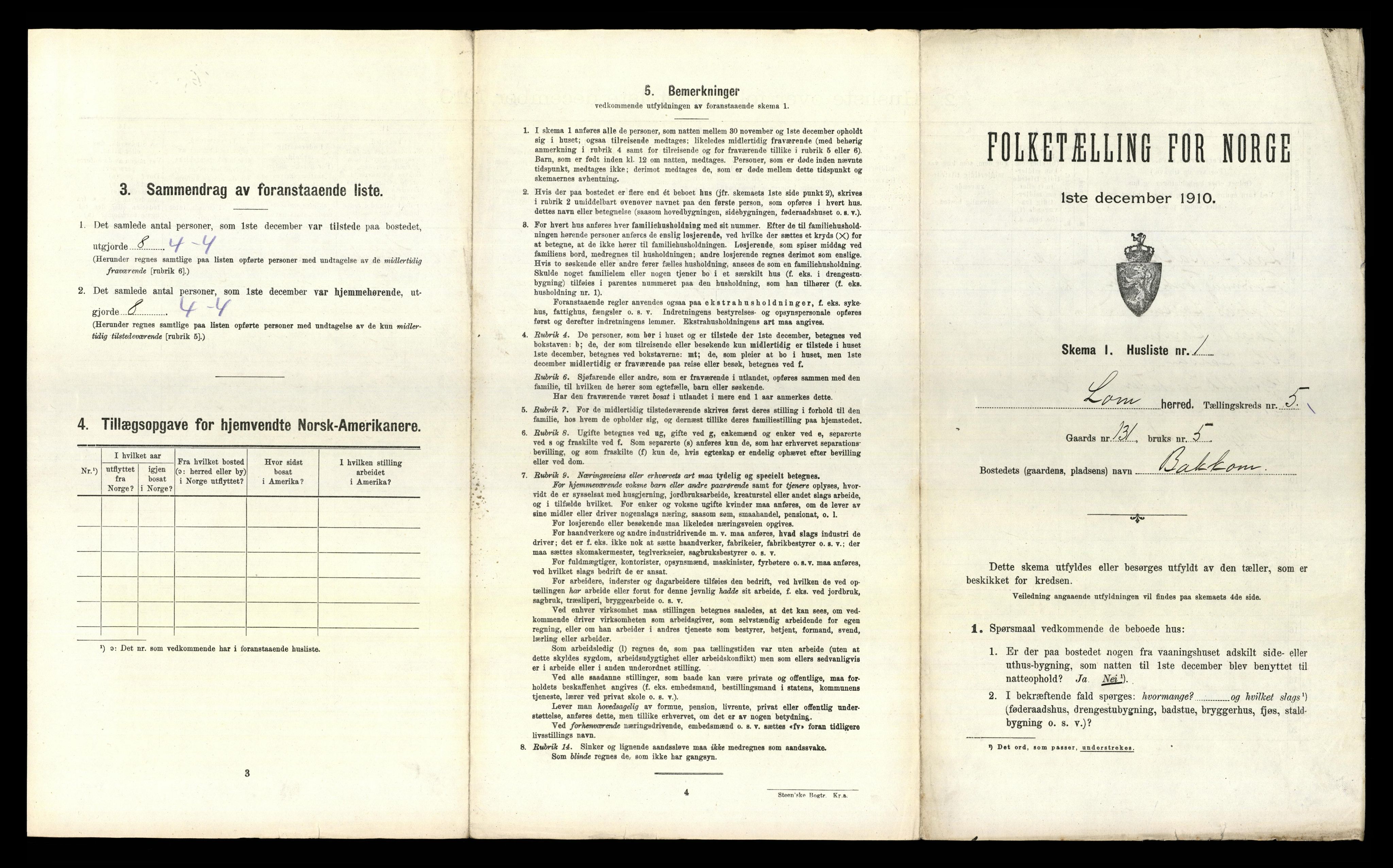 RA, 1910 census for Lom, 1910, p. 695