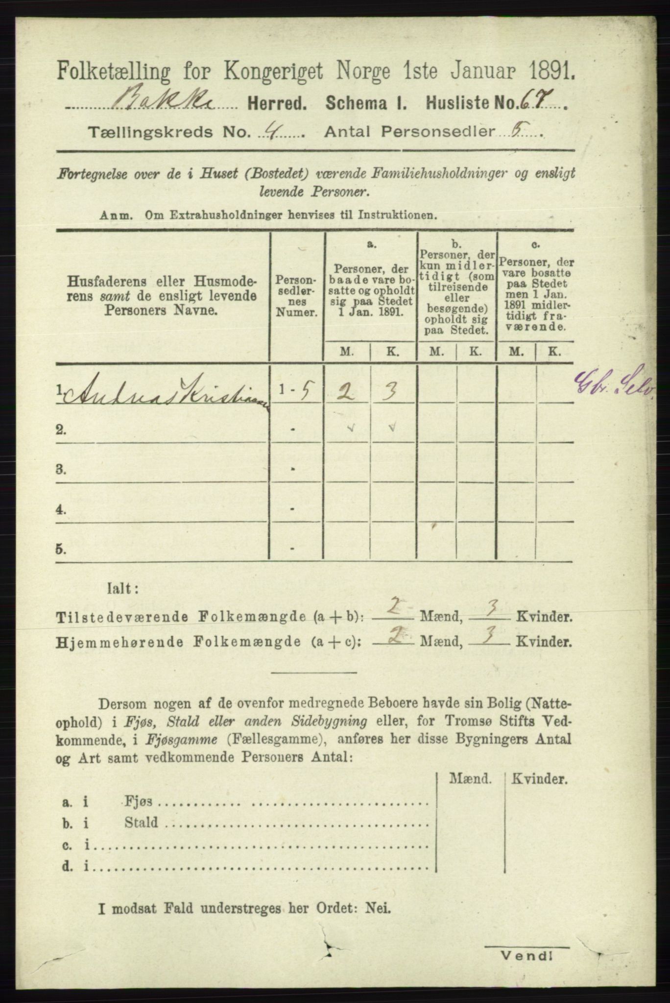 RA, 1891 census for 1045 Bakke, 1891, p. 610