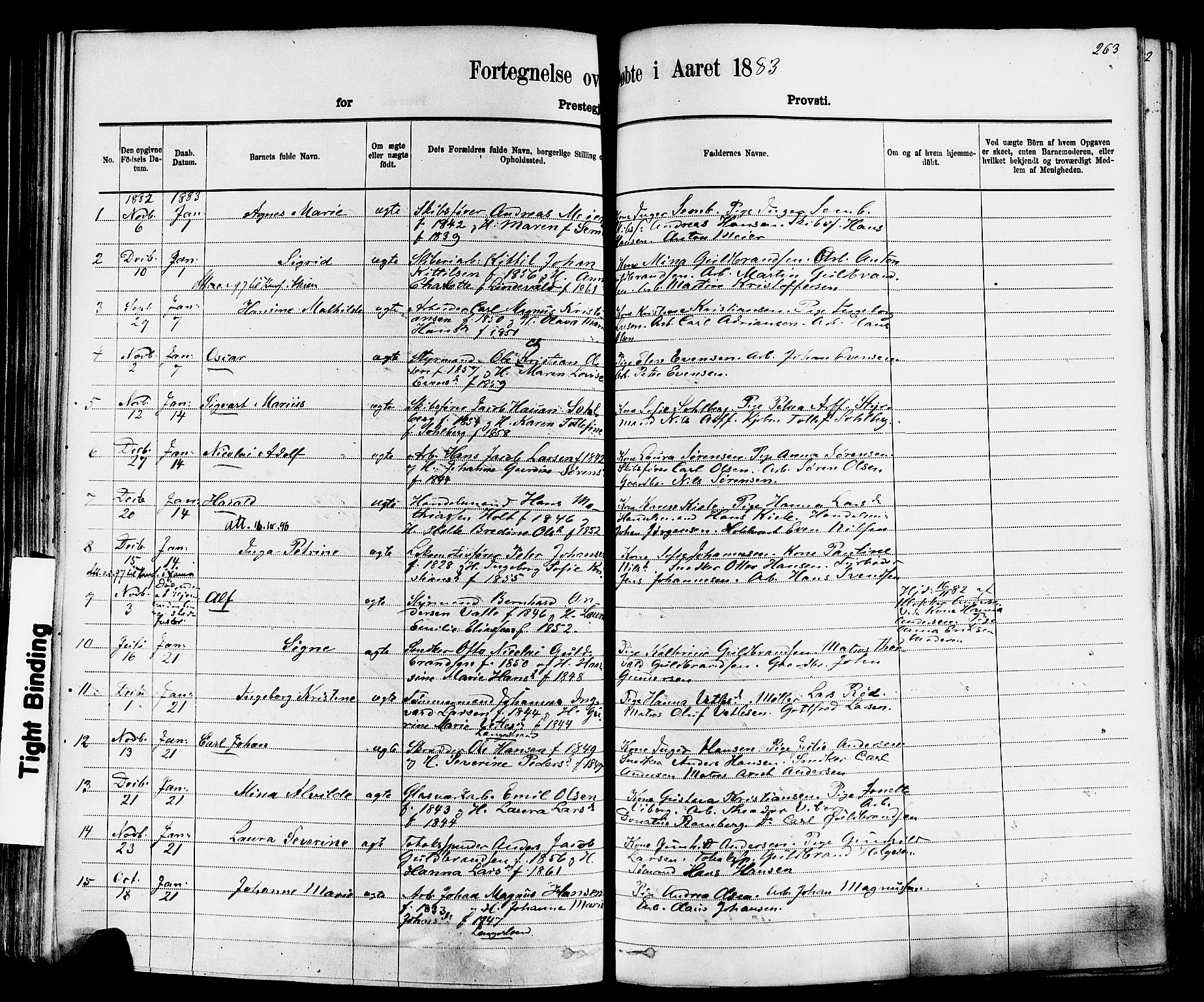 Larvik kirkebøker, AV/SAKO-A-352/F/Fa/L0006: Parish register (official) no. I 6, 1871-1883, p. 263