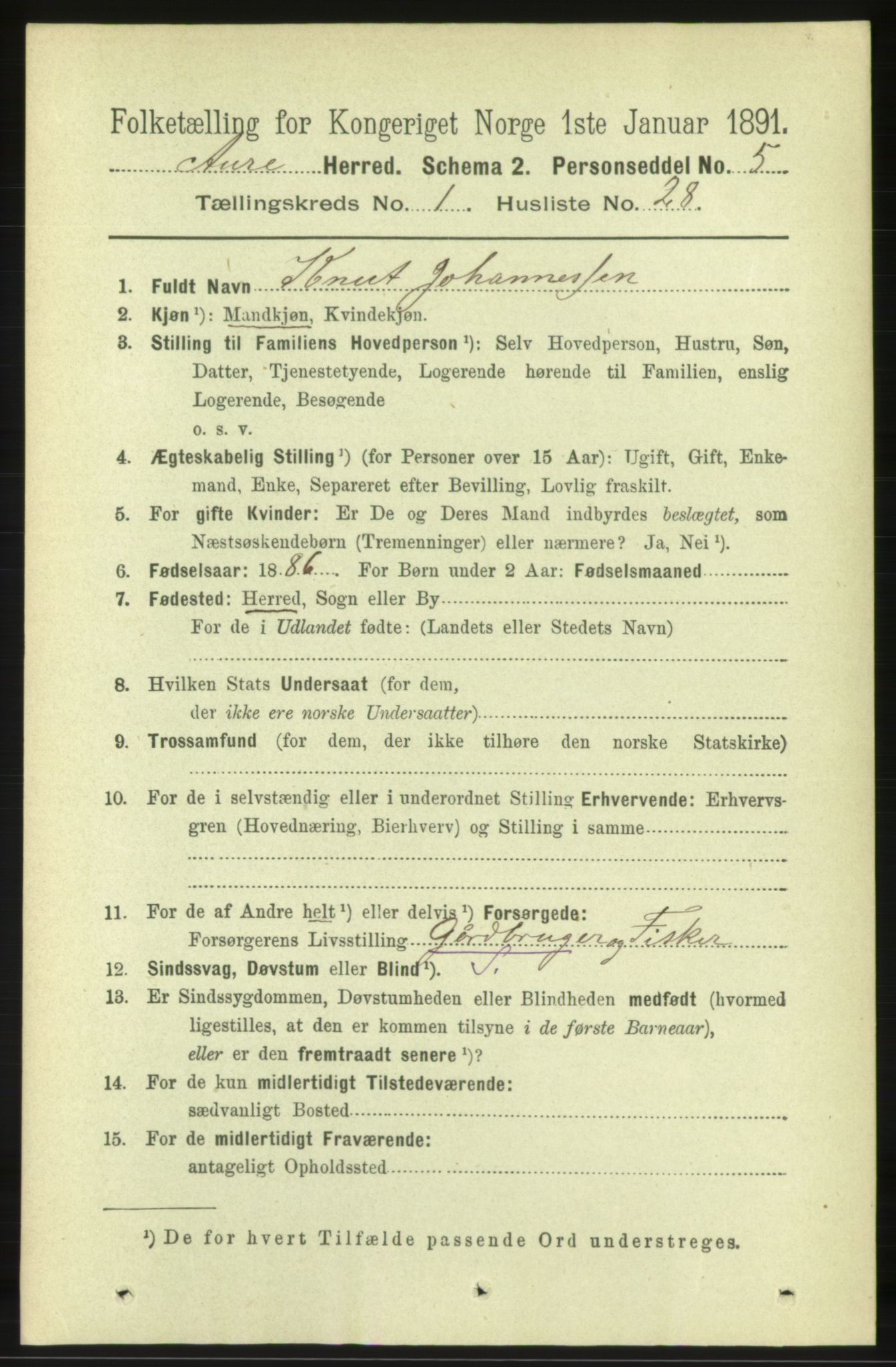 RA, 1891 census for 1569 Aure, 1891, p. 296