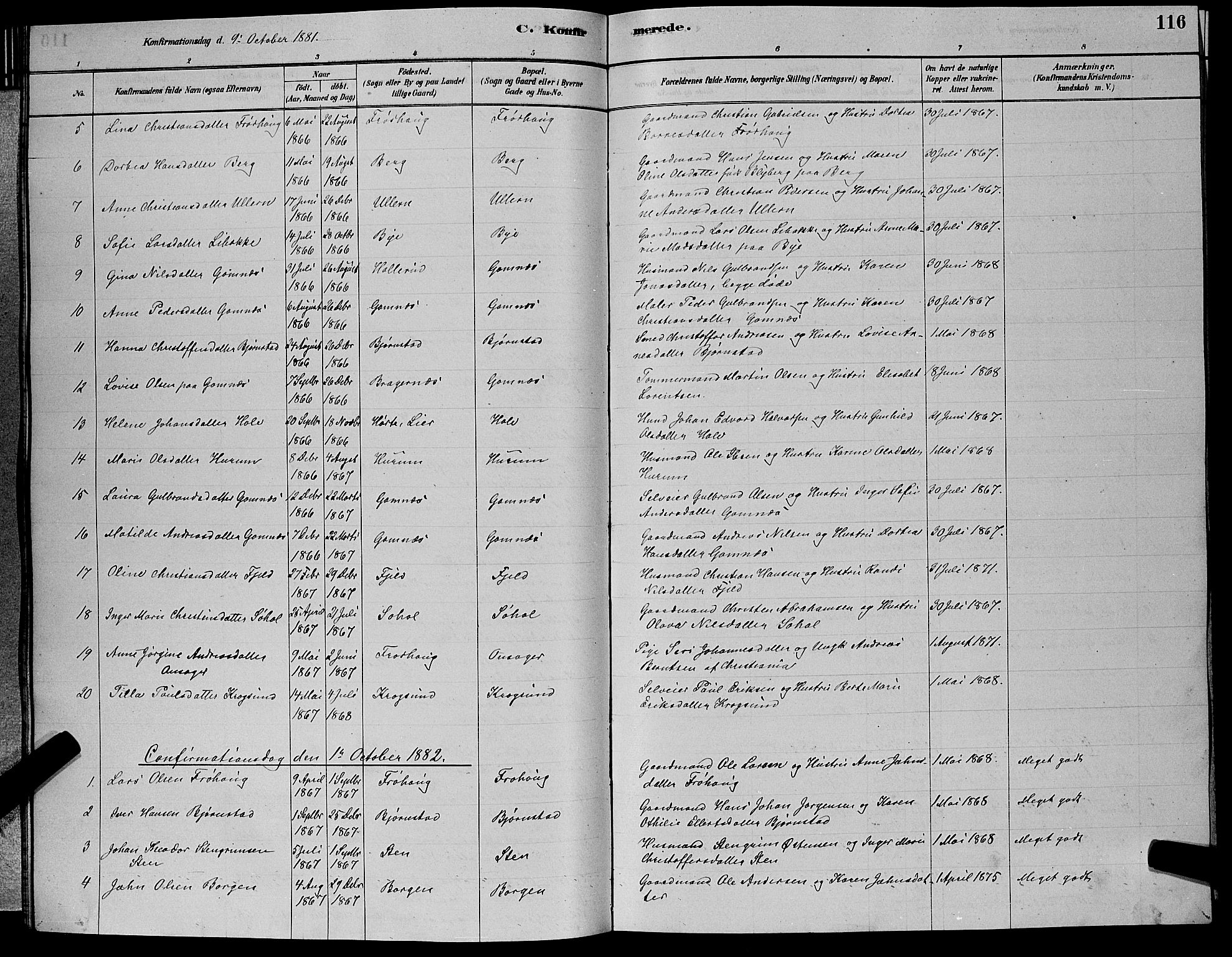 Hole kirkebøker, AV/SAKO-A-228/G/Ga/L0003: Parish register (copy) no. I 3, 1879-1904, p. 116