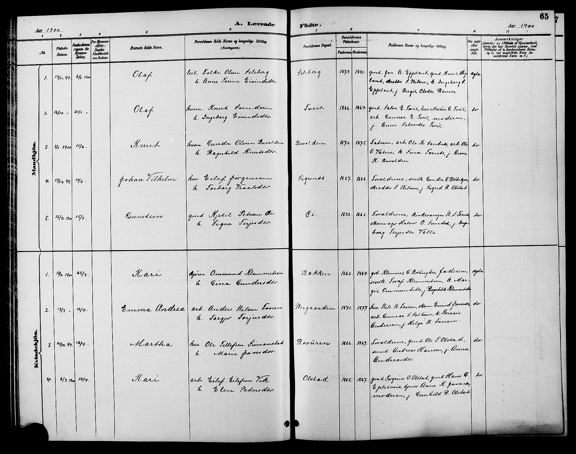 Åmli sokneprestkontor, SAK/1111-0050/F/Fb/Fbc/L0004: Parish register (copy) no. B 4, 1889-1902, p. 65