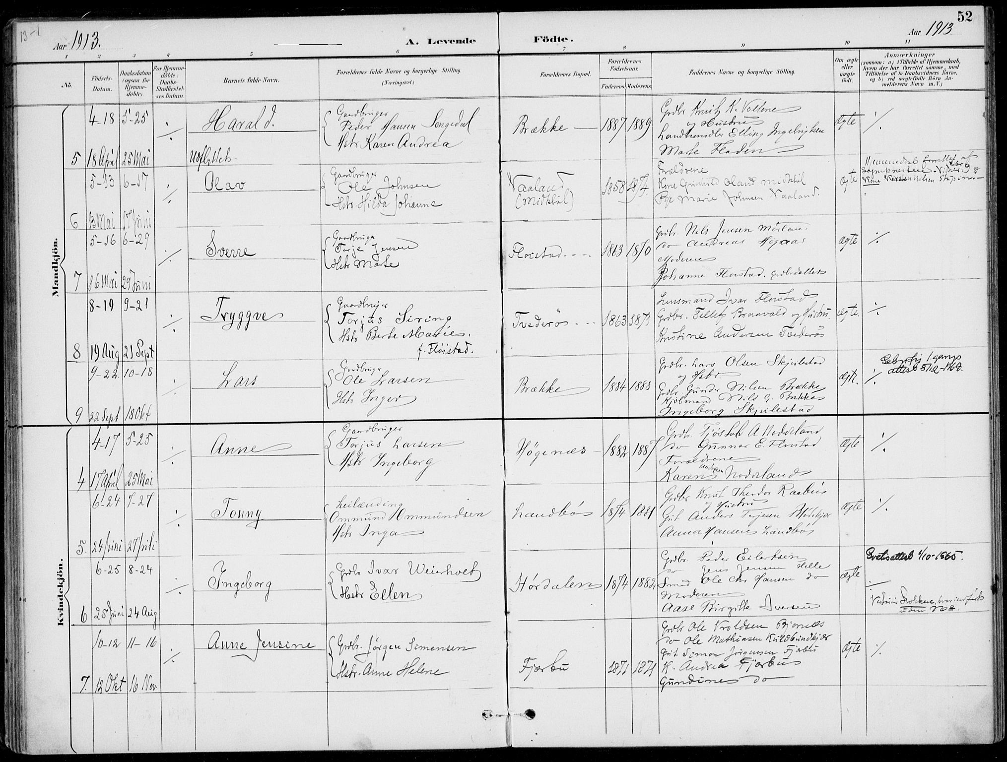 Austre Moland sokneprestkontor, AV/SAK-1111-0001/F/Fa/Faa/L0011: Parish register (official) no. A 11, 1894-1915, p. 52