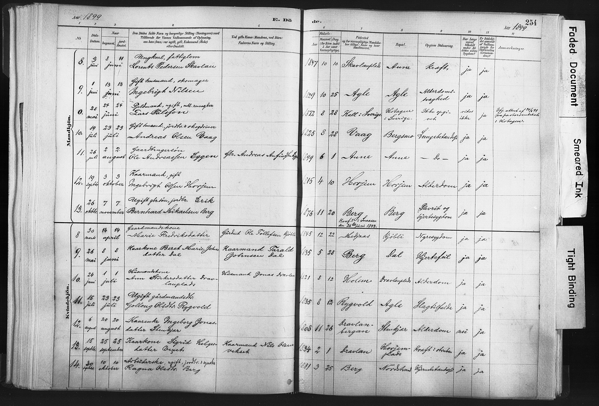 Ministerialprotokoller, klokkerbøker og fødselsregistre - Nord-Trøndelag, SAT/A-1458/749/L0474: Parish register (official) no. 749A08, 1887-1903, p. 254