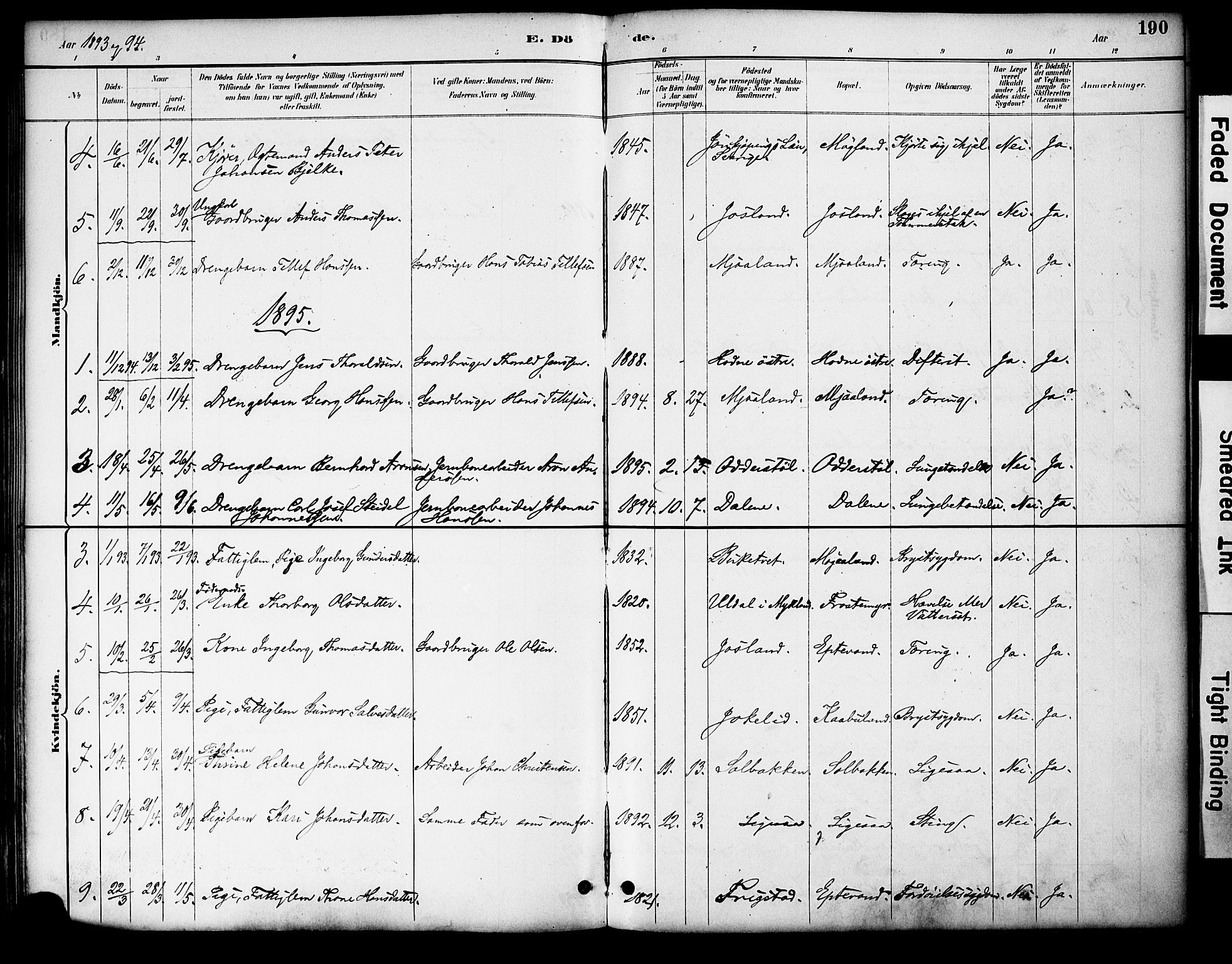 Evje sokneprestkontor, AV/SAK-1111-0008/F/Fa/Fac/L0003: Parish register (official) no. A 3, 1884-1909, p. 190