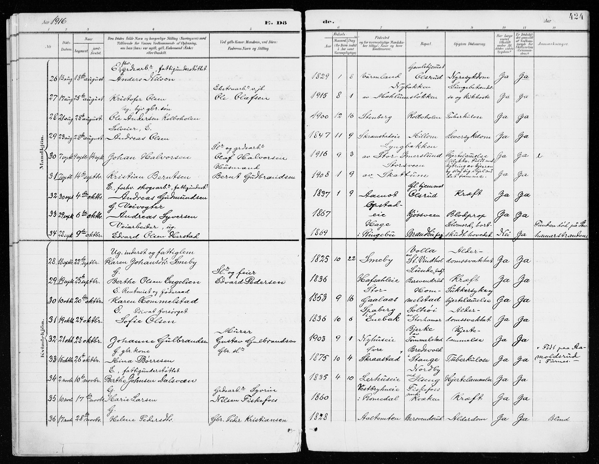 Vang prestekontor, Hedmark, AV/SAH-PREST-008/H/Ha/Haa/L0021: Parish register (official) no. 21, 1902-1917, p. 424