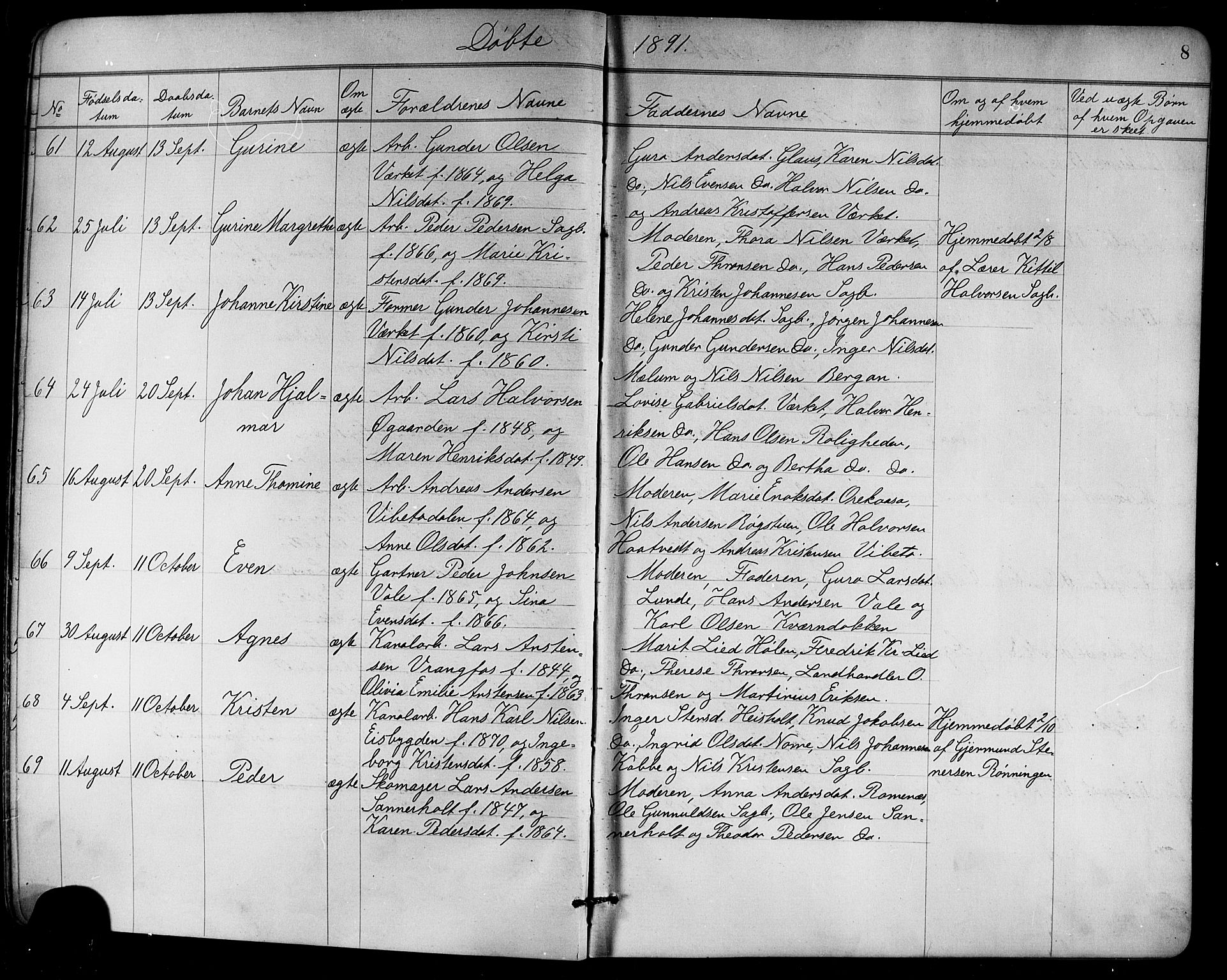 Holla kirkebøker, AV/SAKO-A-272/G/Ga/L0005: Parish register (copy) no. I 5, 1891-1917, p. 8