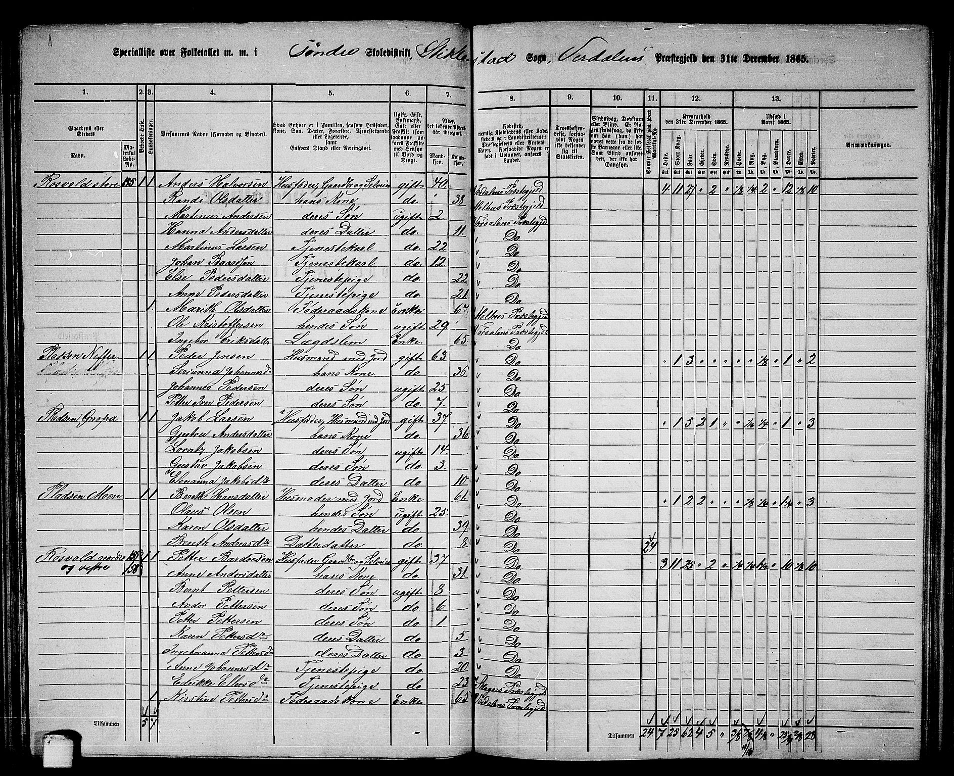 RA, 1865 census for Verdal, 1865, p. 114