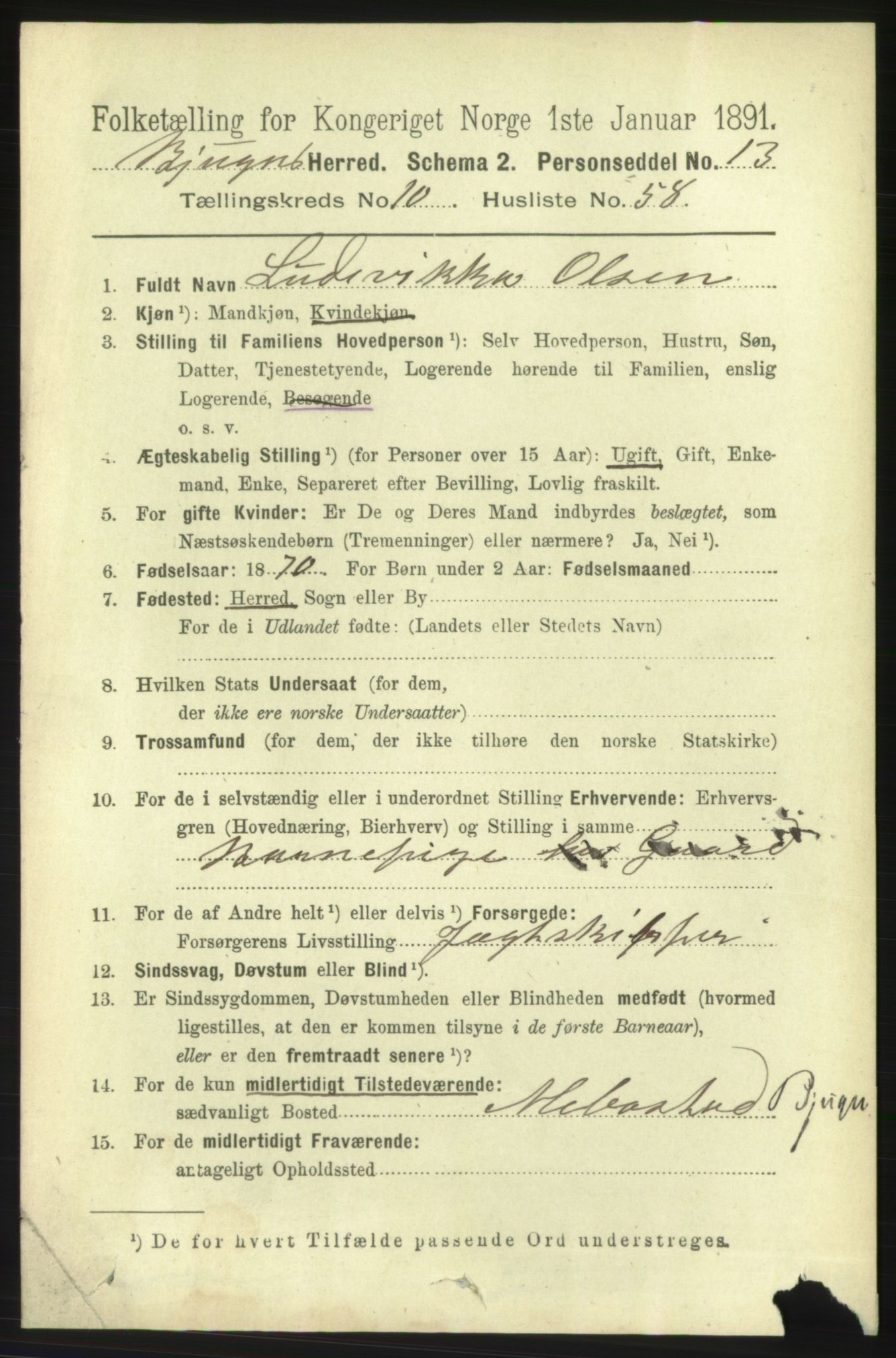 RA, 1891 census for 1627 Bjugn, 1891, p. 3053