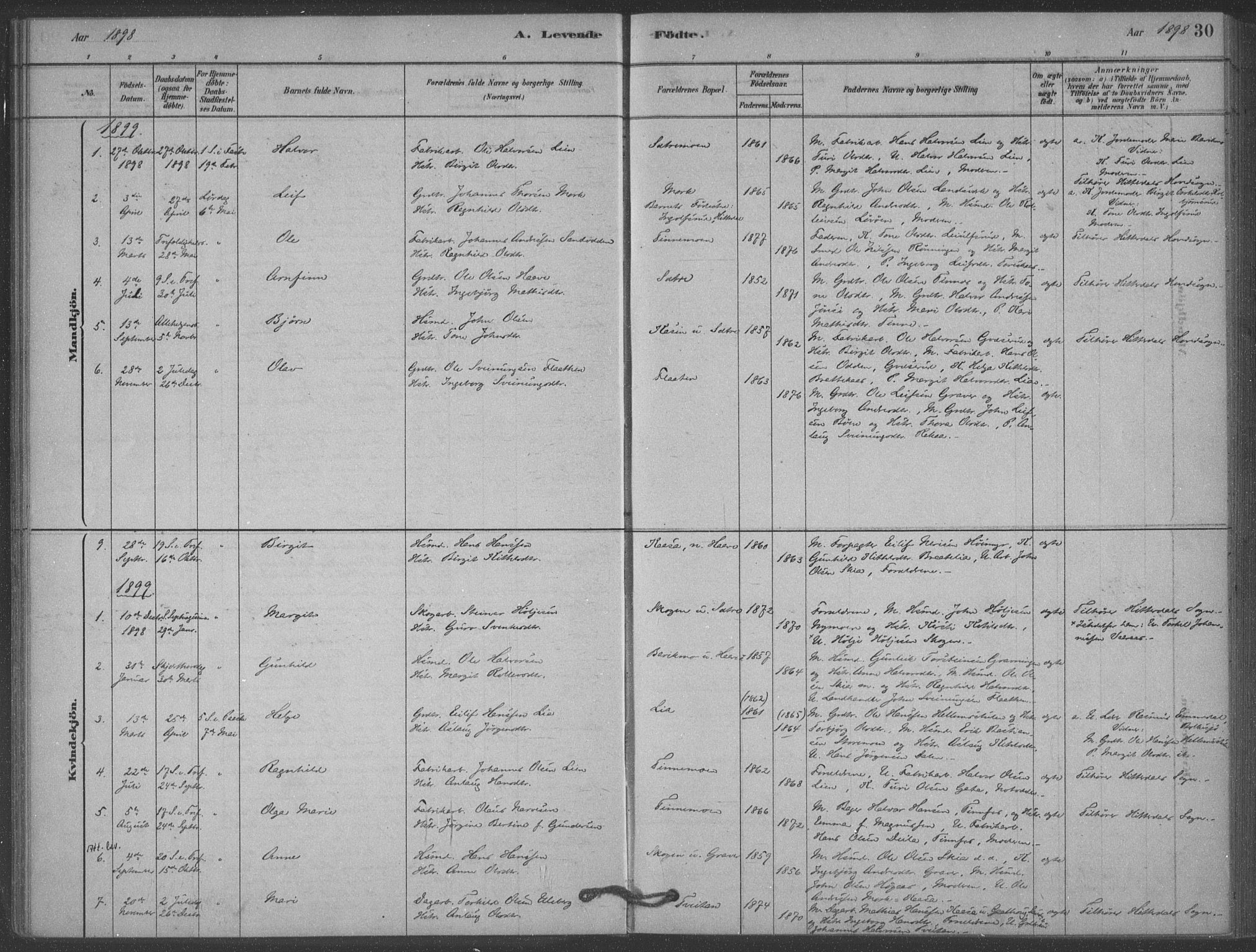 Heddal kirkebøker, SAKO/A-268/F/Fb/L0002: Parish register (official) no. II 2, 1878-1913, p. 30