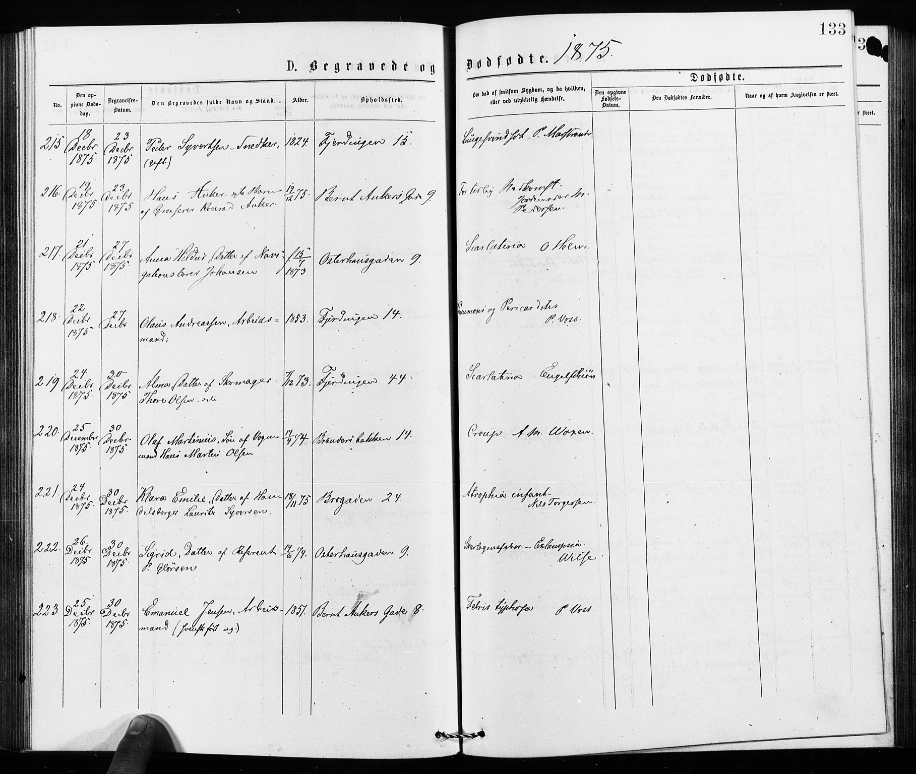 Jakob prestekontor Kirkebøker, SAO/A-10850/F/Fa/L0002: Parish register (official) no. 2, 1875-1879, p. 133
