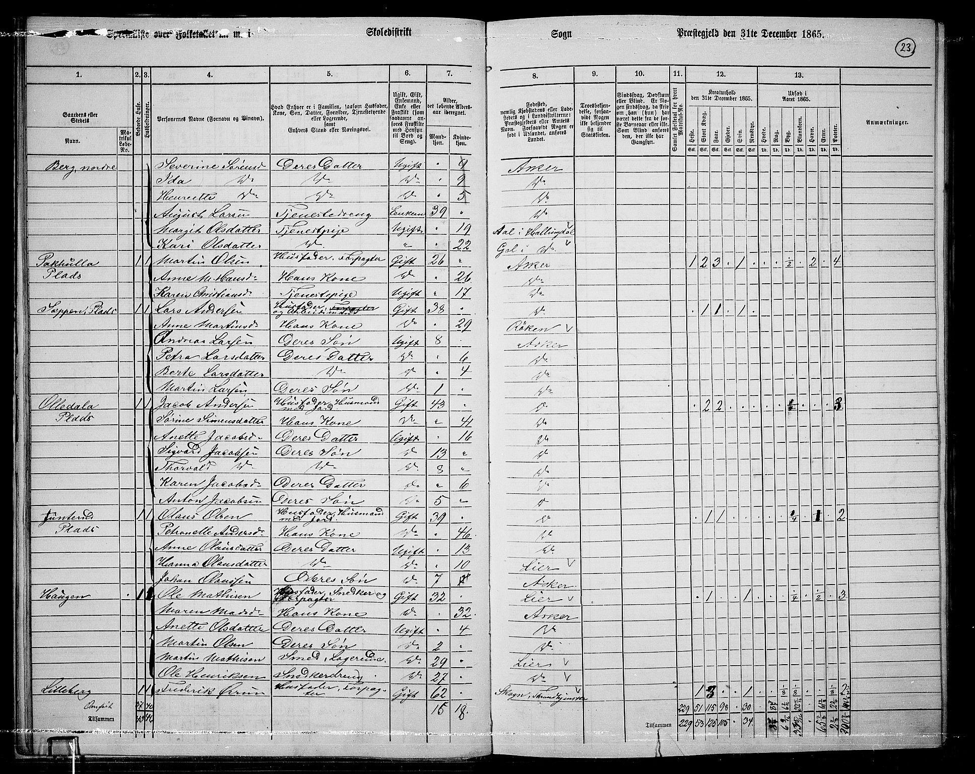 RA, 1865 census for Asker, 1865, p. 25