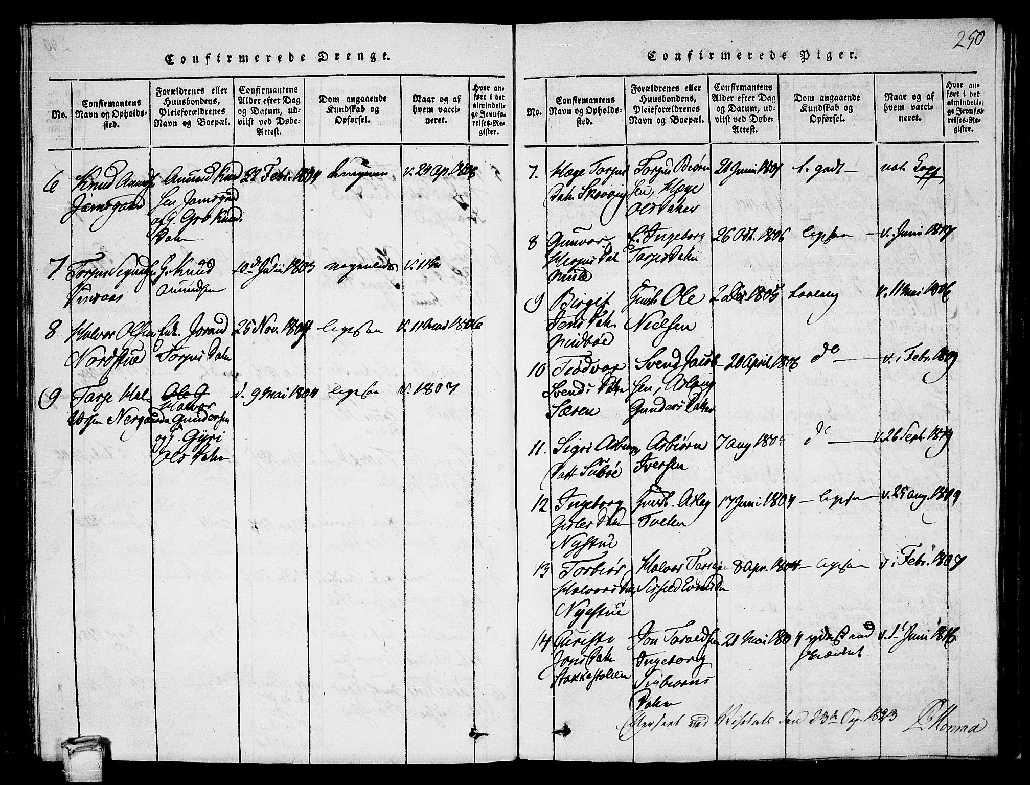 Vinje kirkebøker, SAKO/A-312/G/Ga/L0001: Parish register (copy) no. I 1, 1814-1843, p. 250
