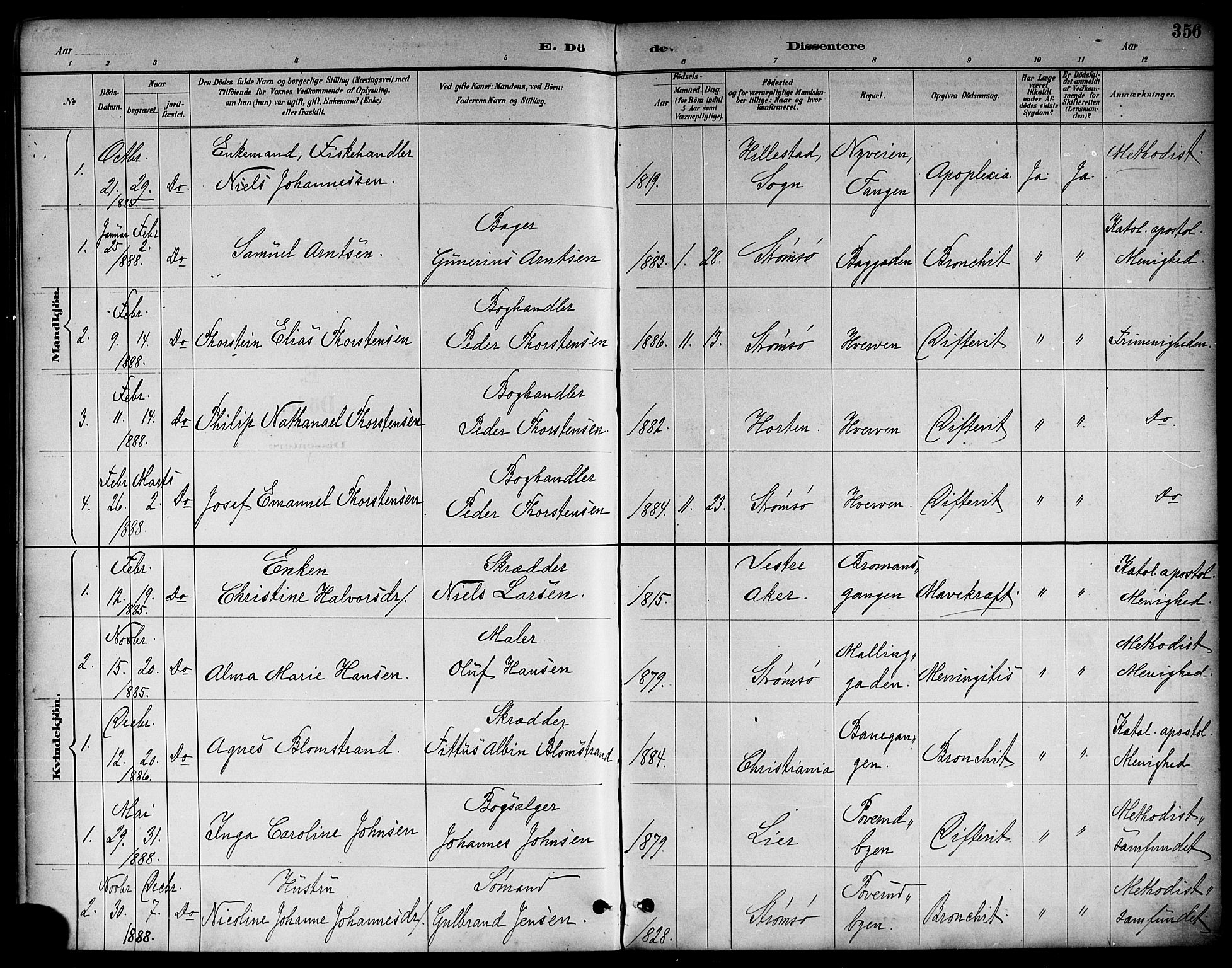 Strømsø kirkebøker, AV/SAKO-A-246/F/Fa/L0023: Parish register (official) no. I 23, 1885-1894, p. 356