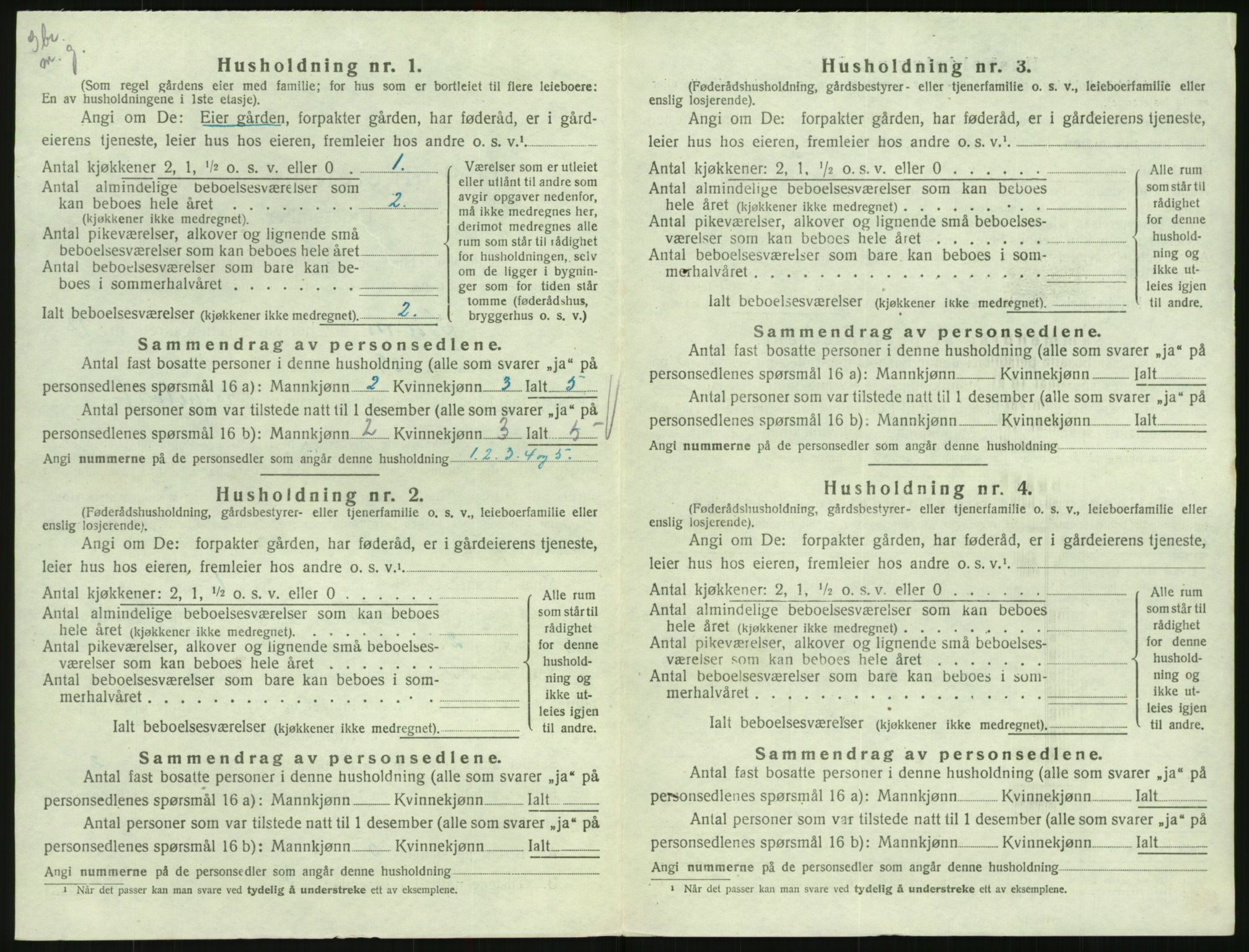 SAK, 1920 census for Hornnes, 1920, p. 474