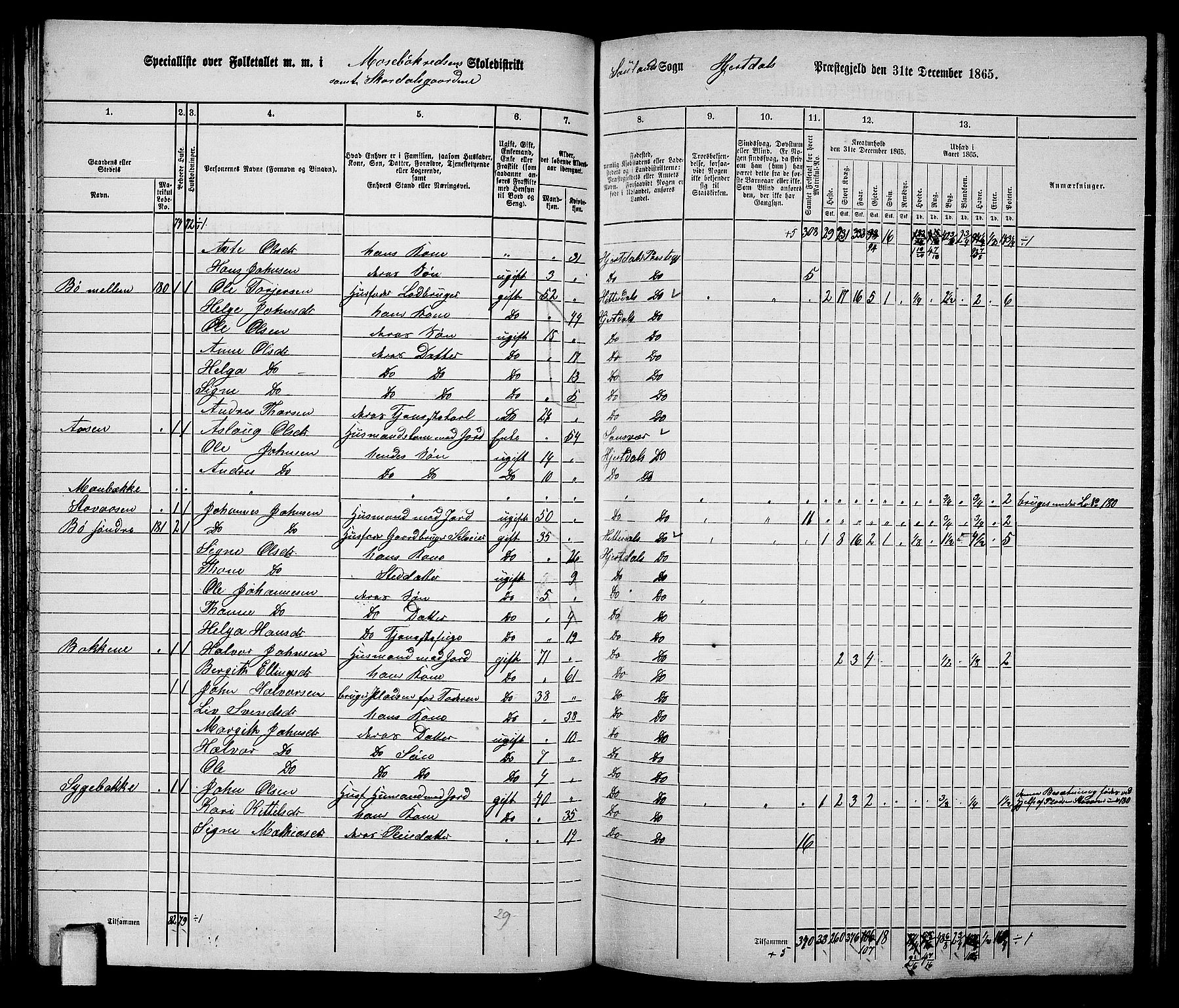 RA, 1865 census for Hjartdal, 1865, p. 73