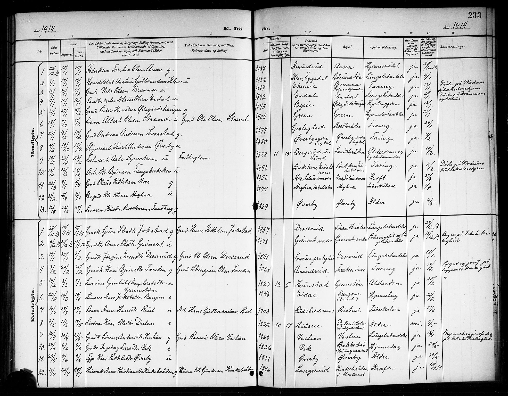 Sigdal kirkebøker, SAKO/A-245/G/Ga/L0006: Parish register (copy) no. I 6, 1901-1916, p. 233