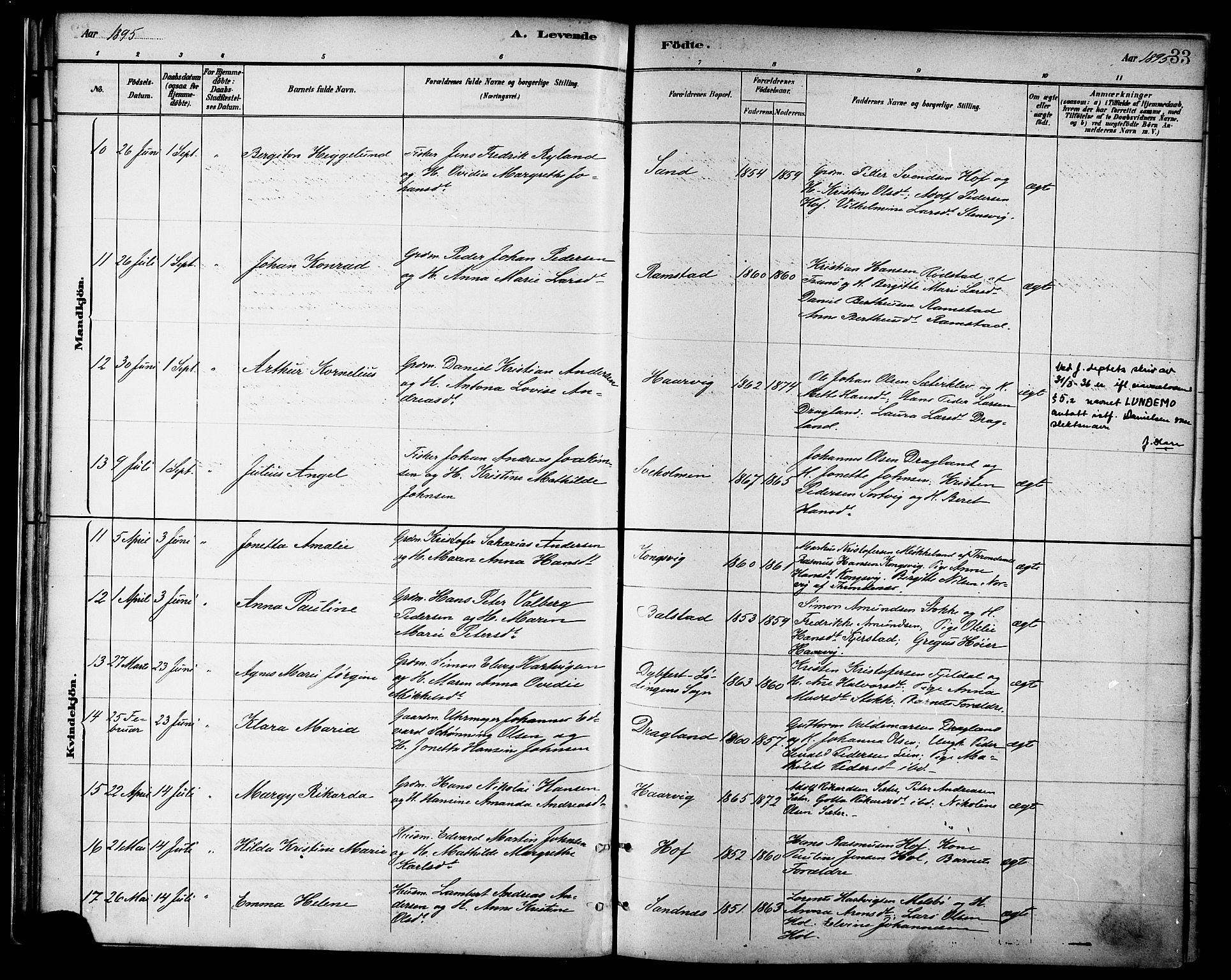 Ministerialprotokoller, klokkerbøker og fødselsregistre - Nordland, AV/SAT-A-1459/865/L0924: Parish register (official) no. 865A02, 1885-1896, p. 33