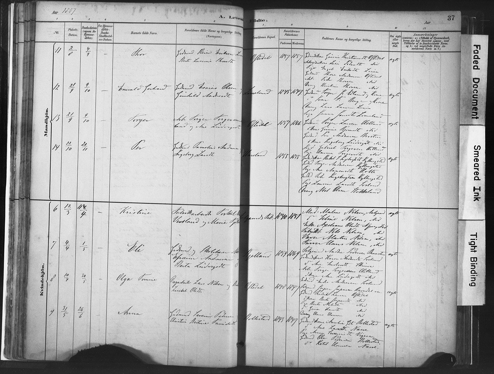 Lye sokneprestkontor, AV/SAST-A-101794/001/30BA/L0010: Parish register (official) no. A 10, 1881-1896, p. 37