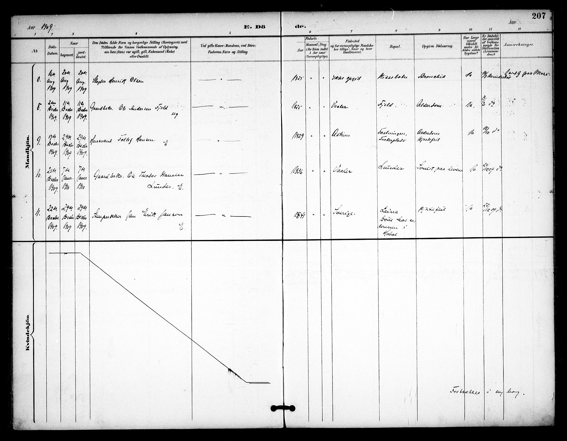 Våler prestekontor Kirkebøker, AV/SAO-A-11083/F/Fa/L0011: Parish register (official) no. I 11, 1893-1909, p. 207