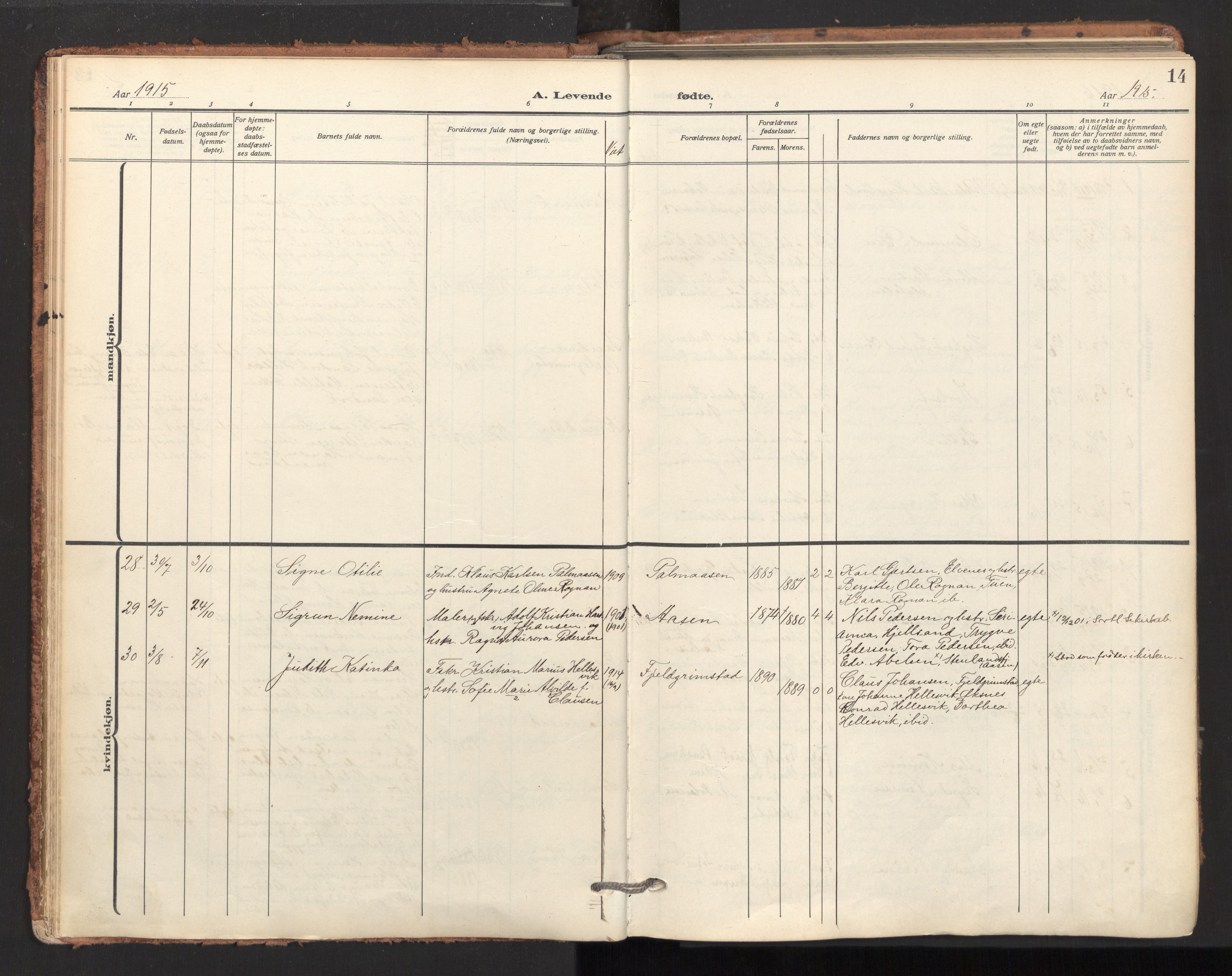 Ministerialprotokoller, klokkerbøker og fødselsregistre - Nordland, SAT/A-1459/893/L1343: Parish register (official) no. 893A15, 1914-1928, p. 14