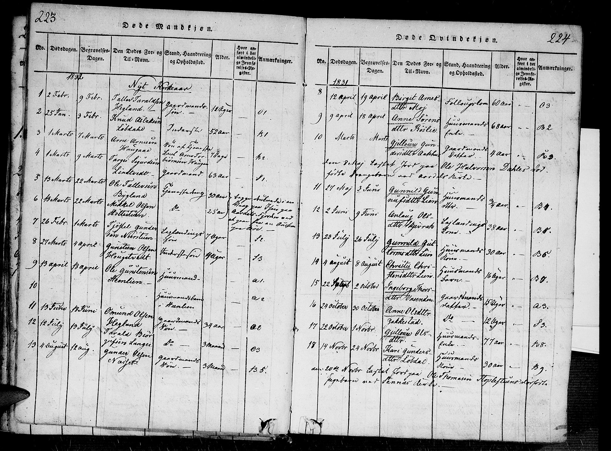 Bygland sokneprestkontor, SAK/1111-0006/F/Fa/Fab/L0003: Parish register (official) no. A 3, 1816-1841, p. 223-224