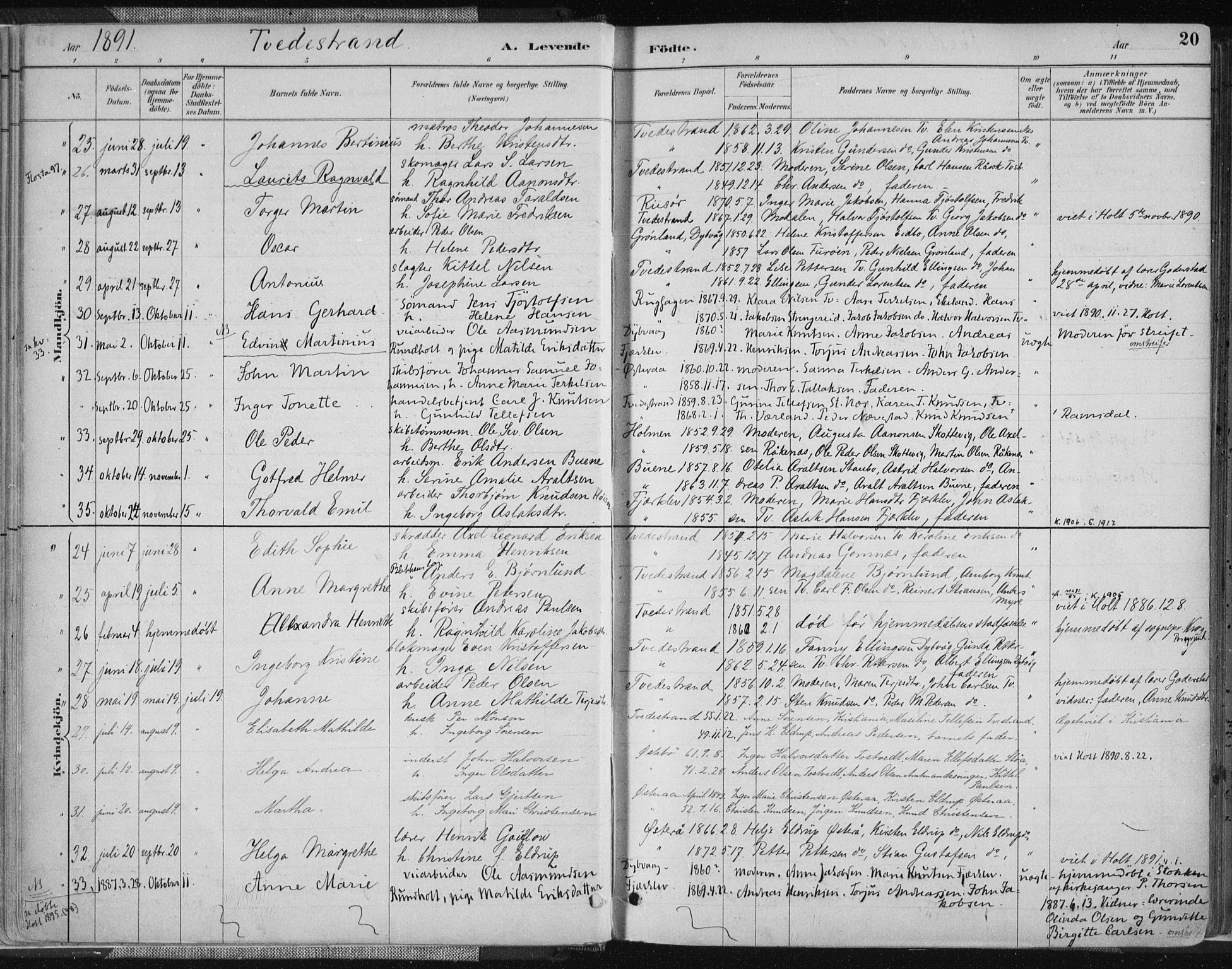 Tvedestrand sokneprestkontor, SAK/1111-0042/F/Fa/L0001: Parish register (official) no. A 1, 1885-1916, p. 20