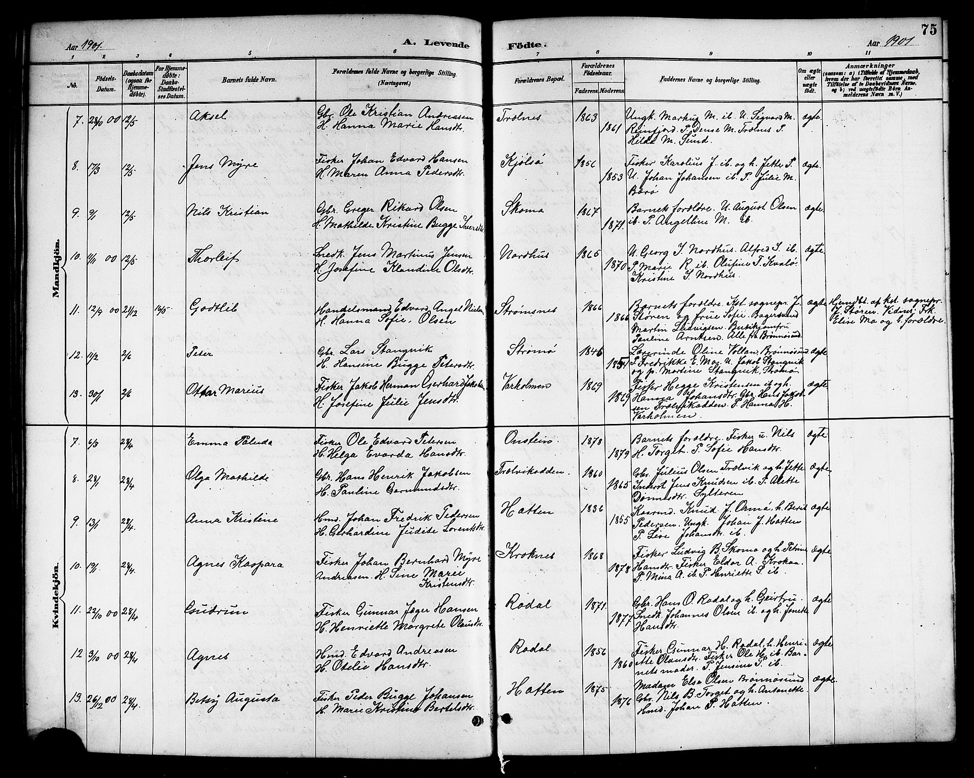 Ministerialprotokoller, klokkerbøker og fødselsregistre - Nordland, AV/SAT-A-1459/813/L0213: Parish register (copy) no. 813C05, 1887-1903, p. 75