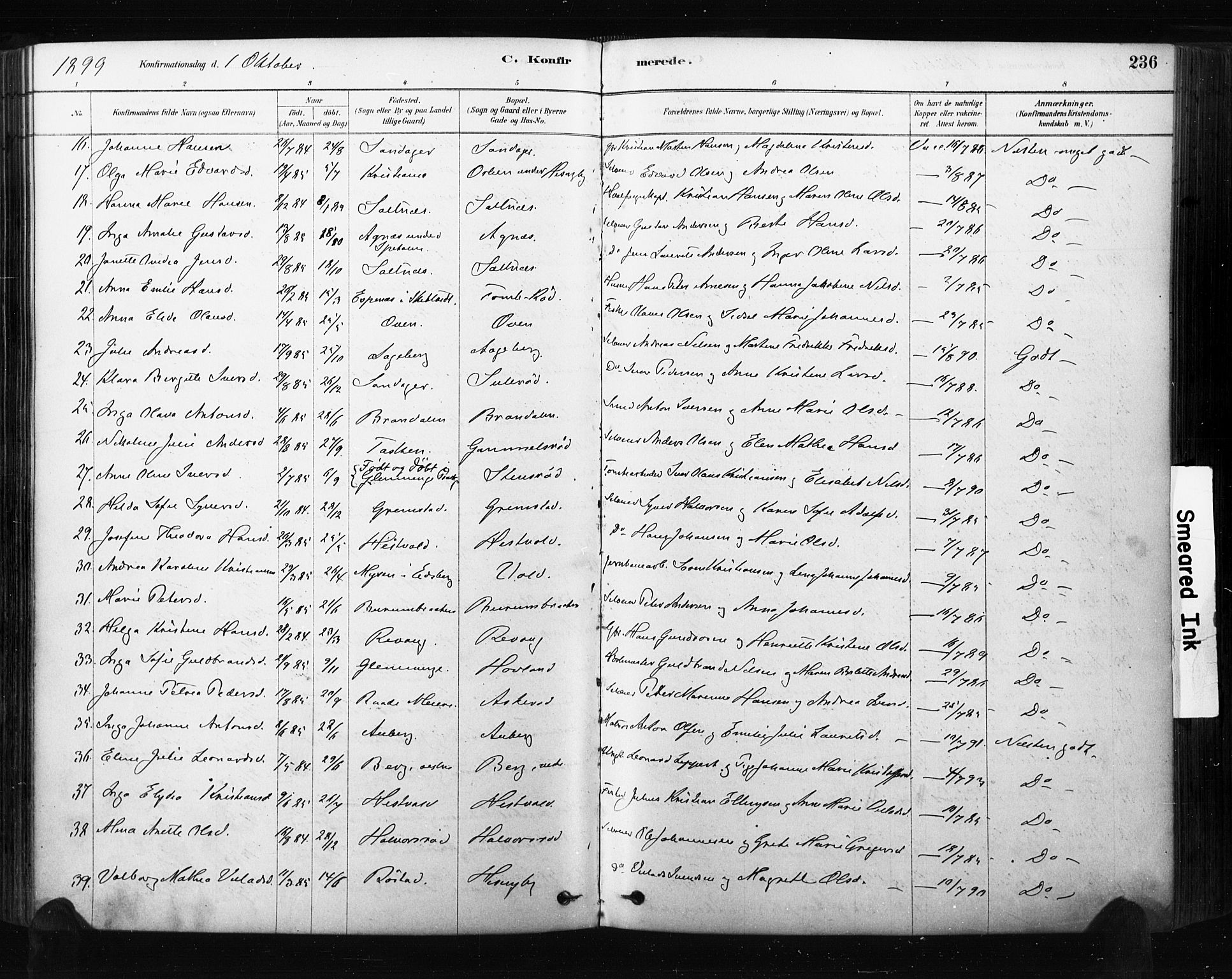 Råde prestekontor kirkebøker, SAO/A-2009/F/Fa/L0007: Parish register (official) no. 7, 1878-1902, p. 236