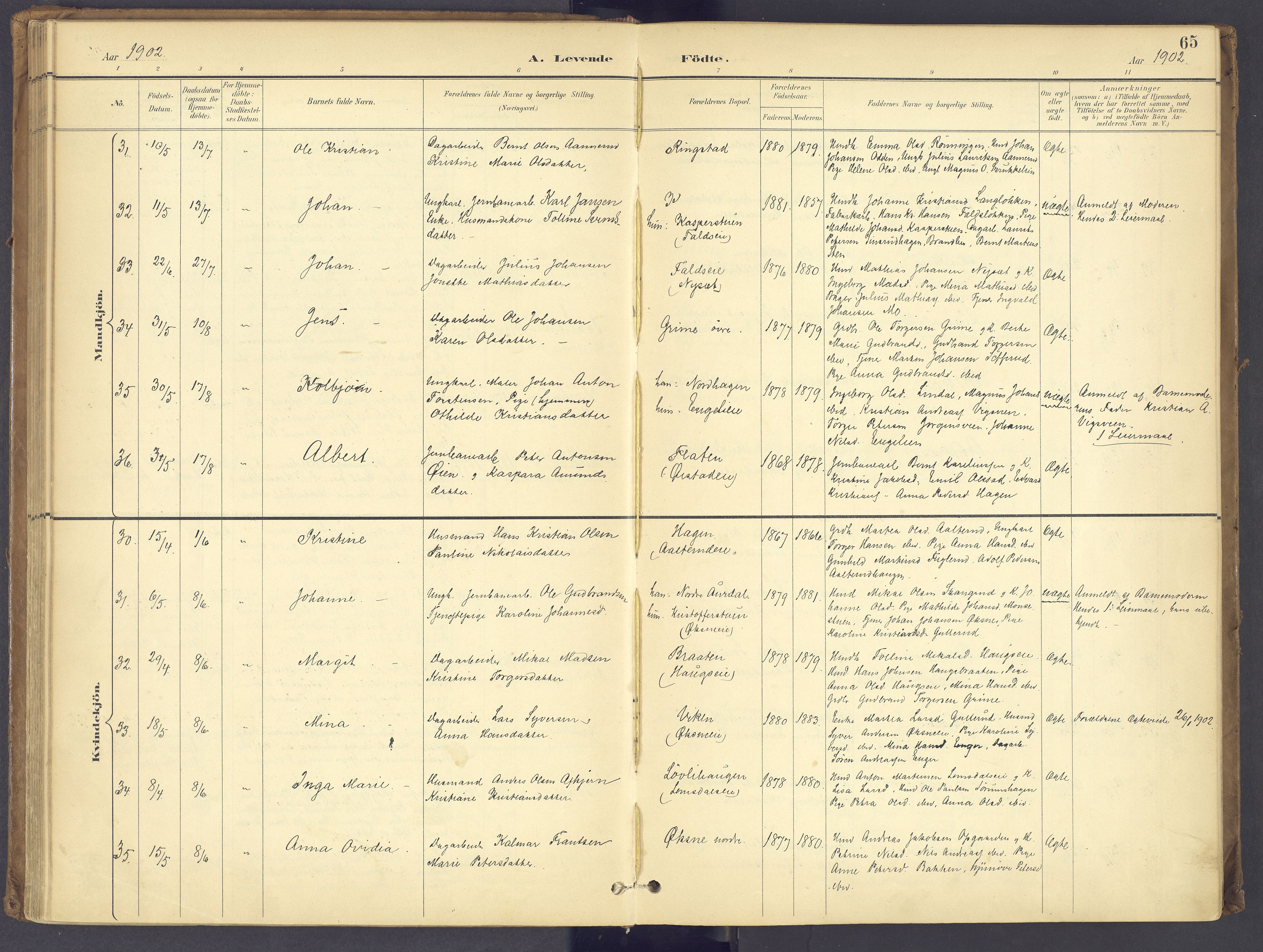 Søndre Land prestekontor, AV/SAH-PREST-122/K/L0006: Parish register (official) no. 6, 1895-1904, p. 65