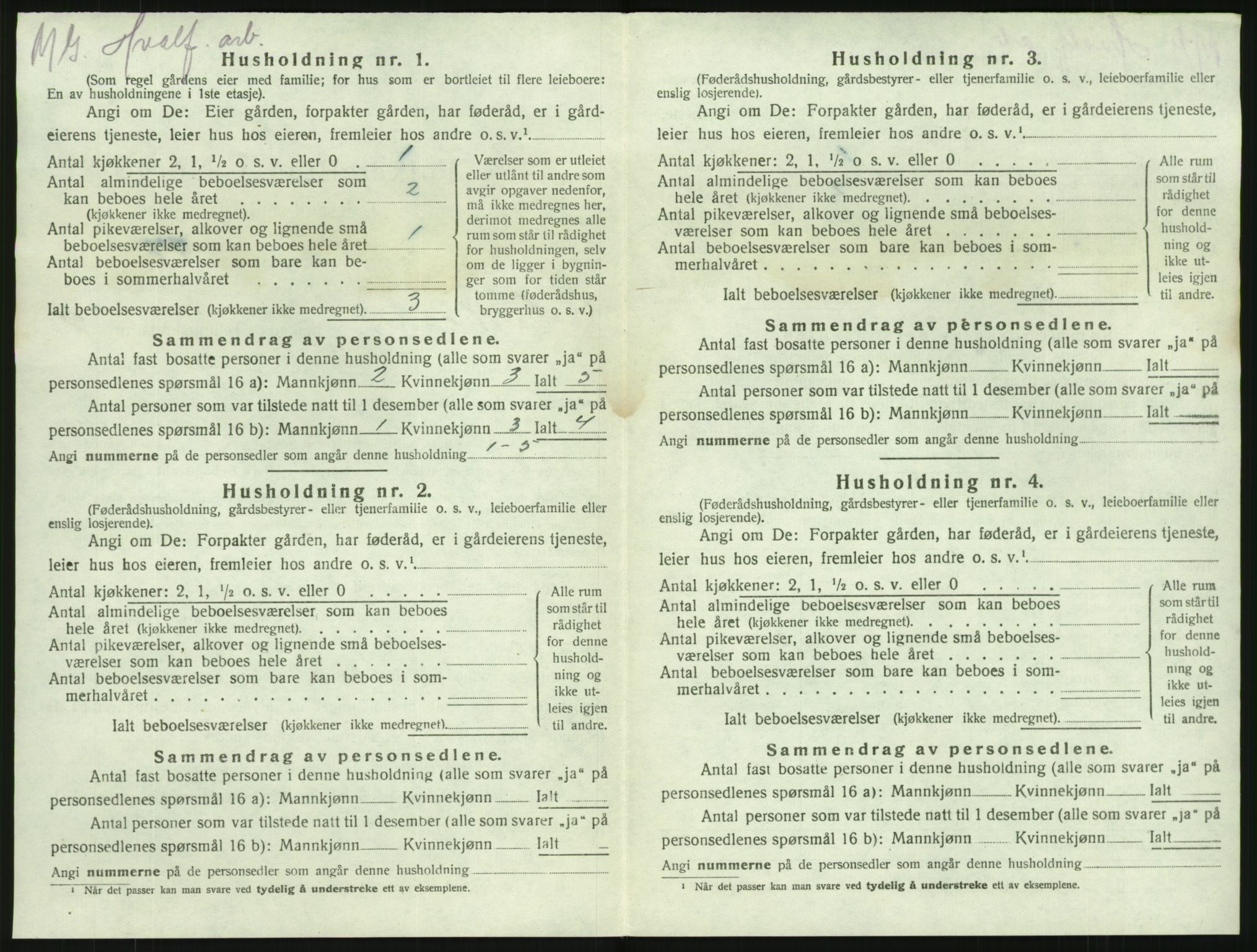 SAKO, 1920 census for Brunlanes, 1920, p. 1234