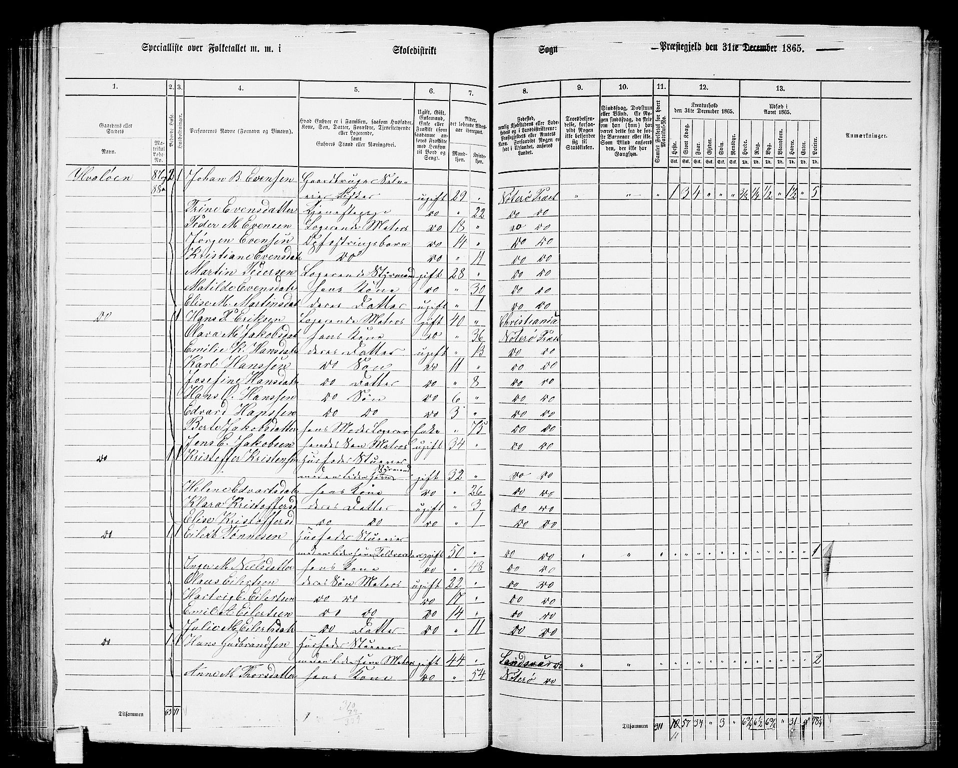 RA, 1865 census for Nøtterøy, 1865, p. 194