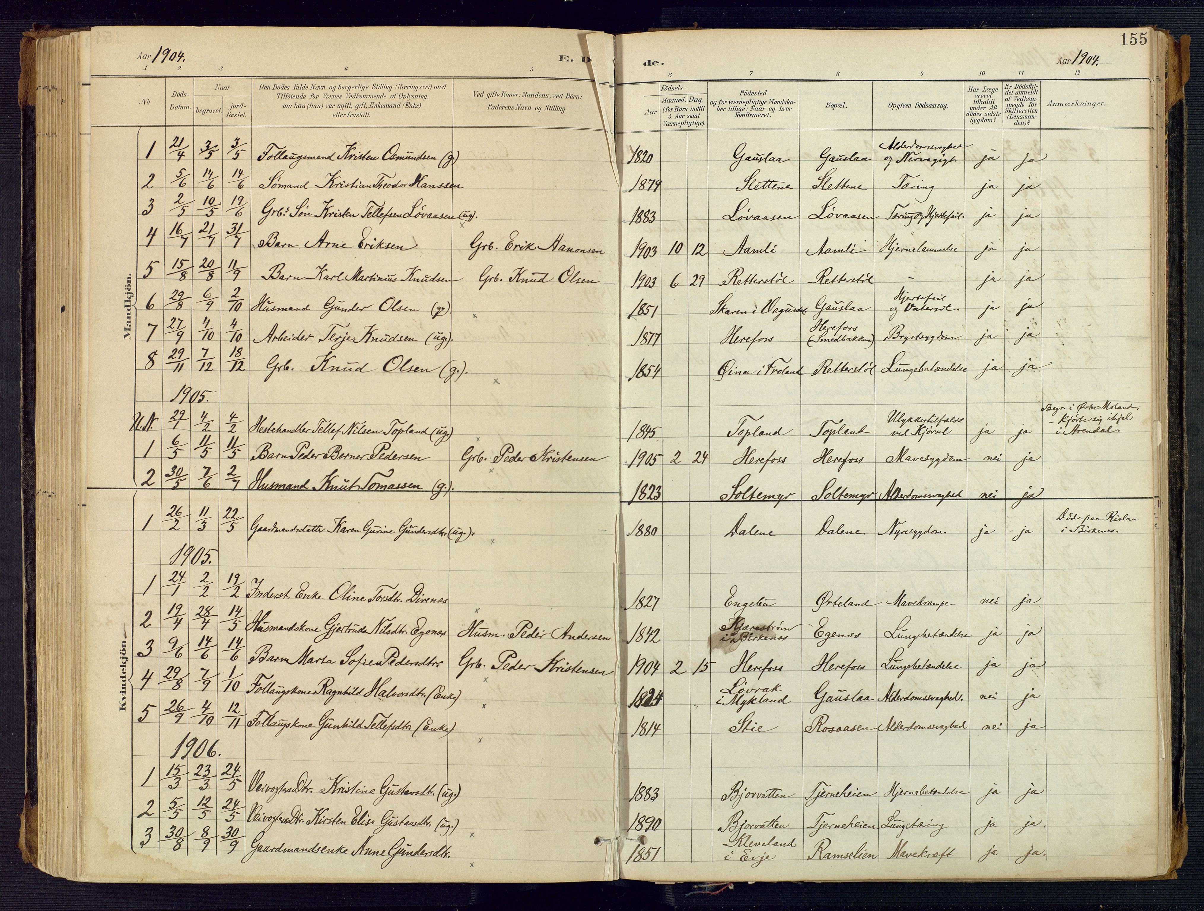 Herefoss sokneprestkontor, AV/SAK-1111-0019/F/Fa/Faa/L0003: Parish register (official) no. A 3, 1887-1930, p. 155