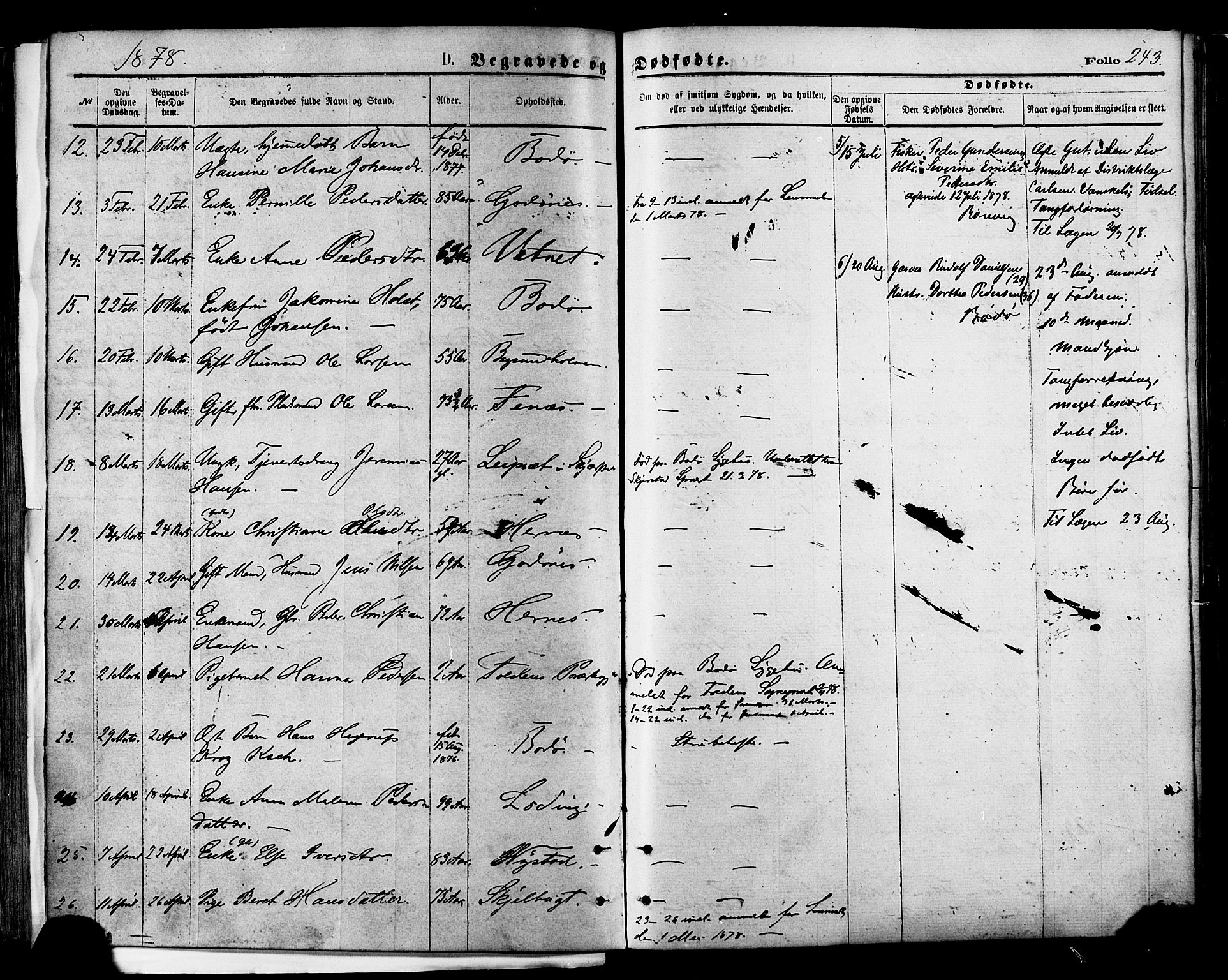 Ministerialprotokoller, klokkerbøker og fødselsregistre - Nordland, AV/SAT-A-1459/801/L0009: Parish register (official) no. 801A09, 1876-1883, p. 243