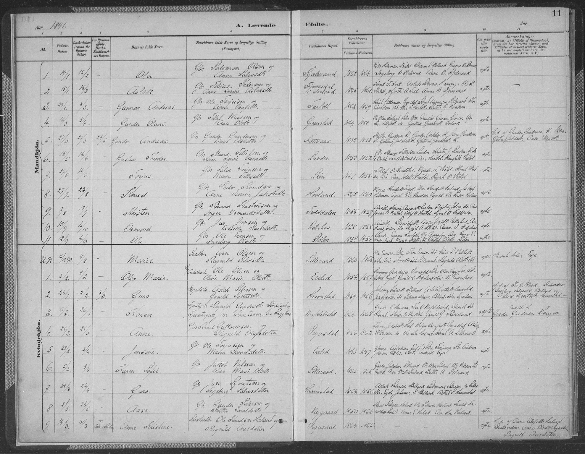 Herefoss sokneprestkontor, SAK/1111-0019/F/Fa/Fab/L0004: Parish register (official) no. A 4, 1887-1909, p. 11