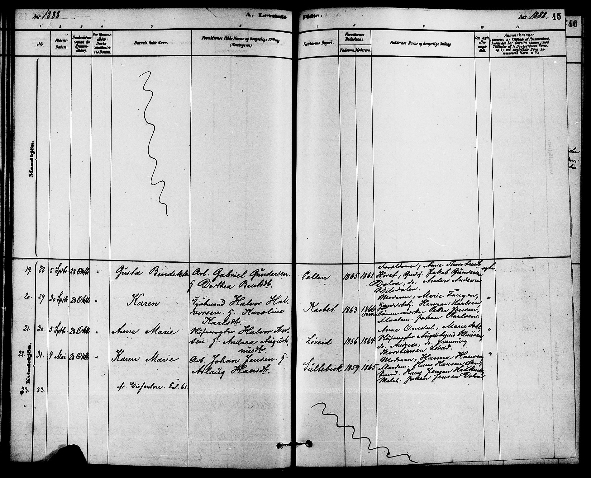 Solum kirkebøker, SAKO/A-306/F/Fb/L0001: Parish register (official) no. II 1, 1877-1892, p. 45