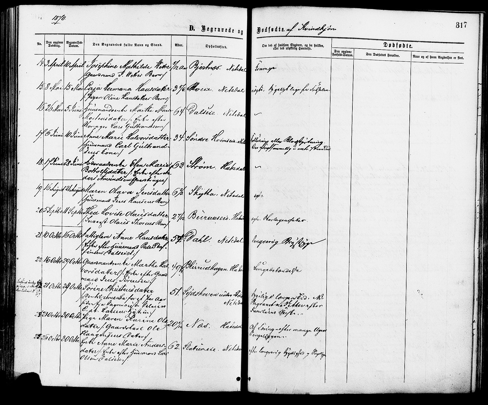 Nittedal prestekontor Kirkebøker, AV/SAO-A-10365a/F/Fa/L0006: Parish register (official) no. I 6, 1863-1878, p. 317