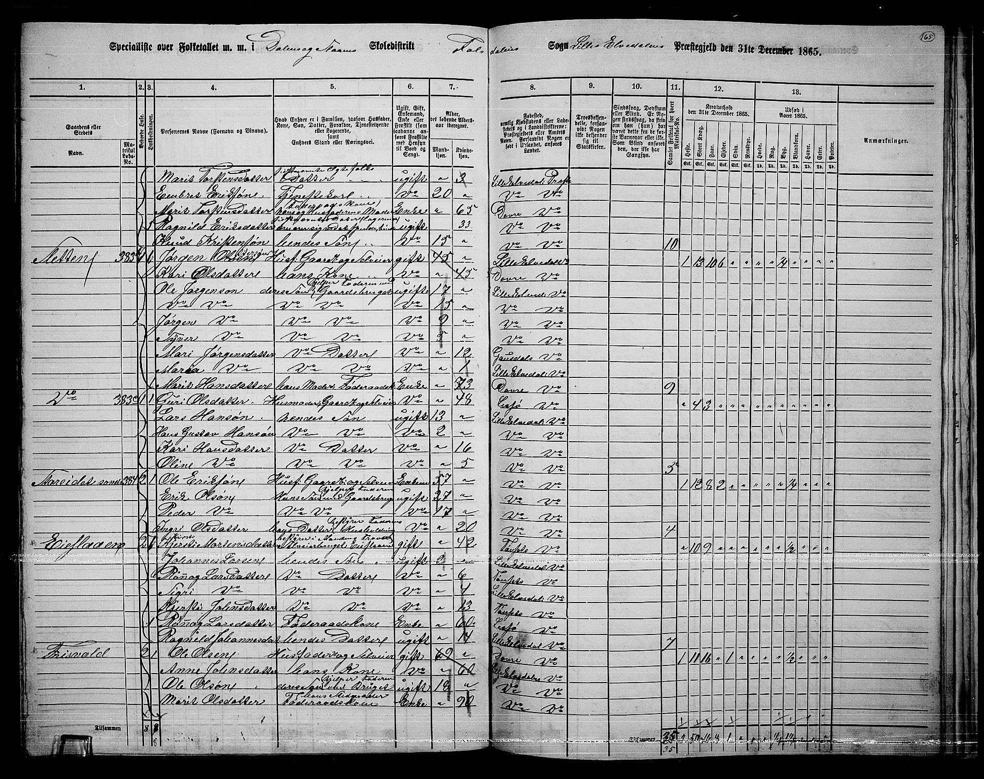 RA, 1865 census for Lille Elvedalen, 1865, p. 135