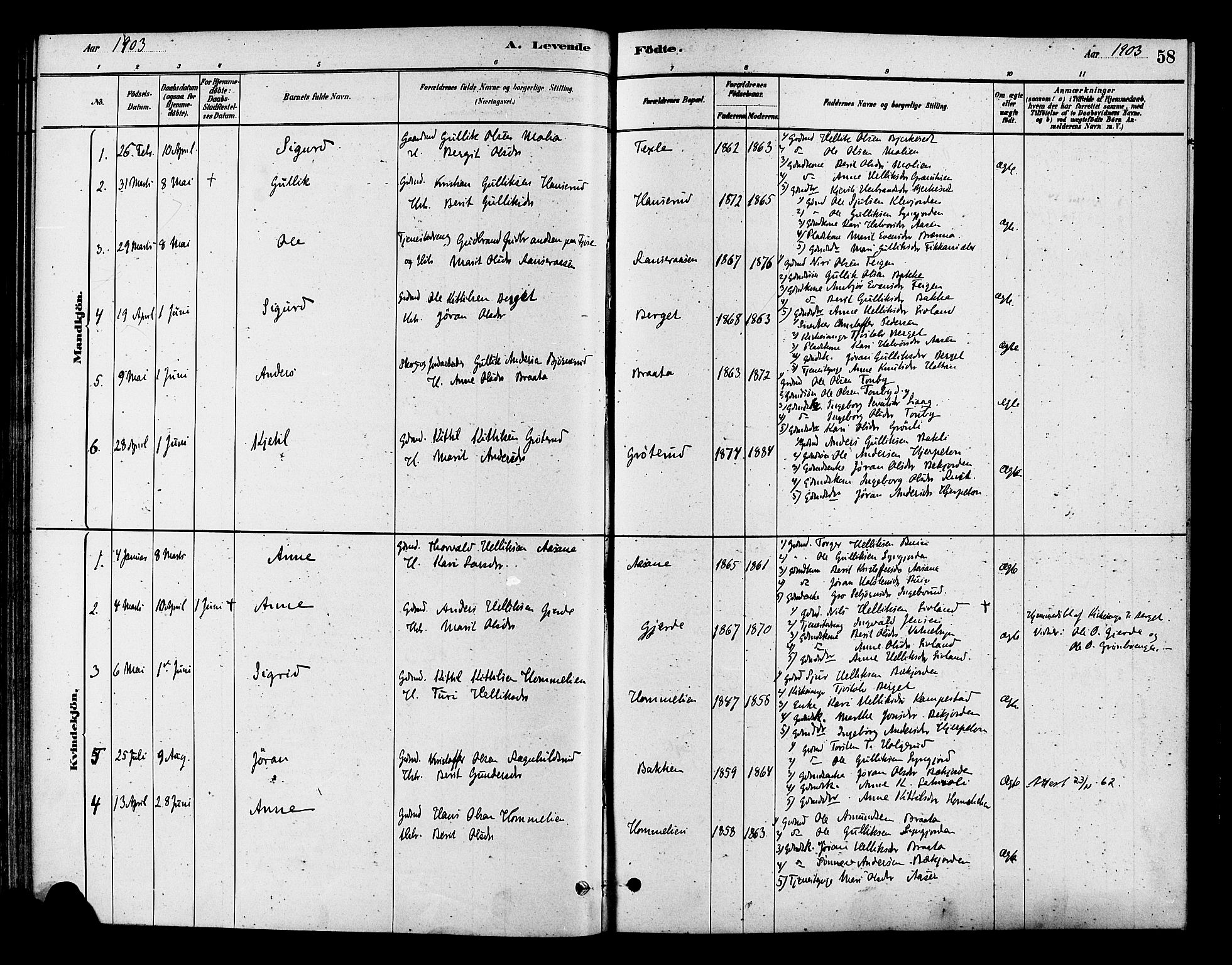 Flesberg kirkebøker, SAKO/A-18/F/Fc/L0001: Parish register (official) no. III 1, 1879-1905, p. 58