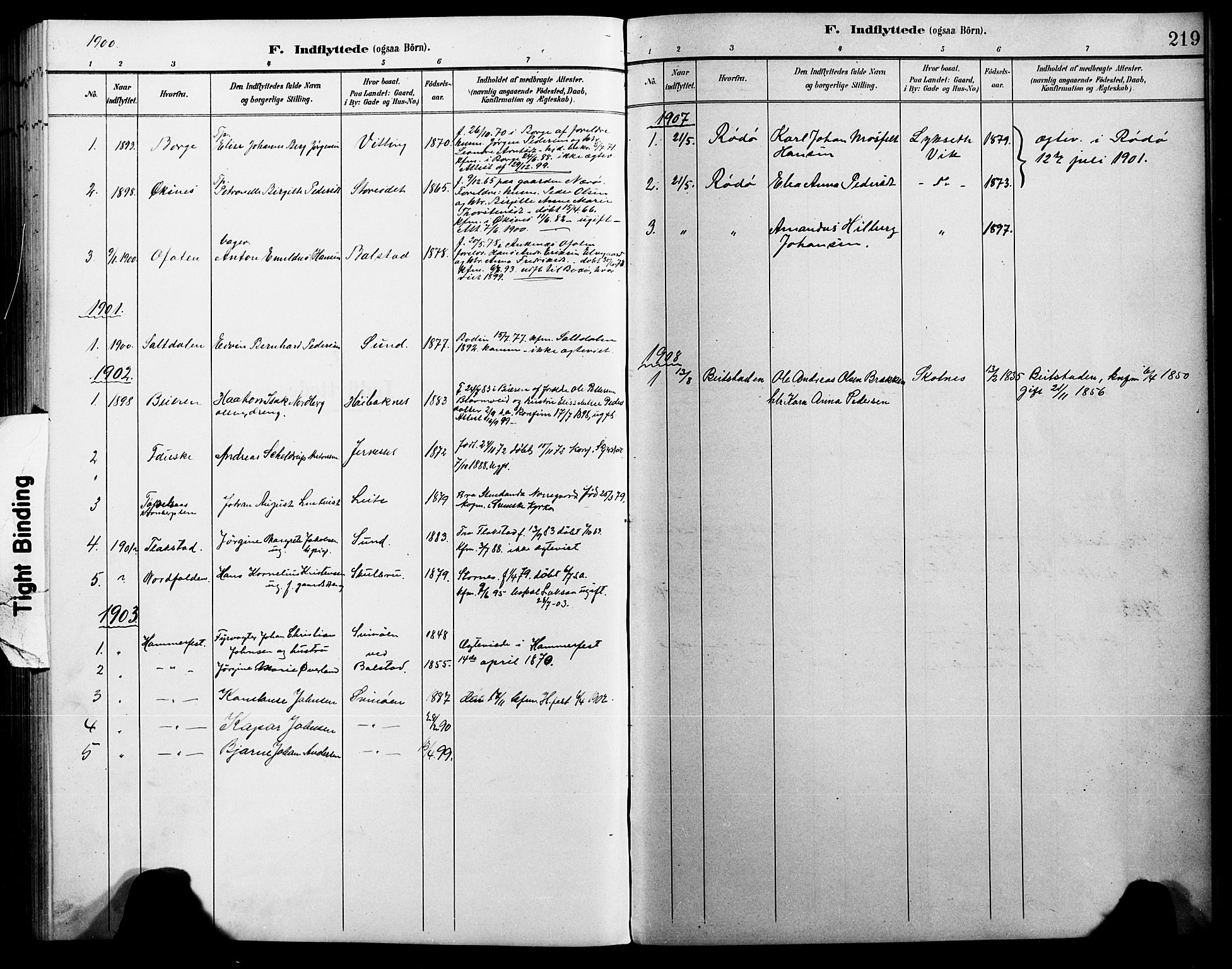 Ministerialprotokoller, klokkerbøker og fødselsregistre - Nordland, AV/SAT-A-1459/881/L1168: Parish register (copy) no. 881C05, 1900-1911, p. 219