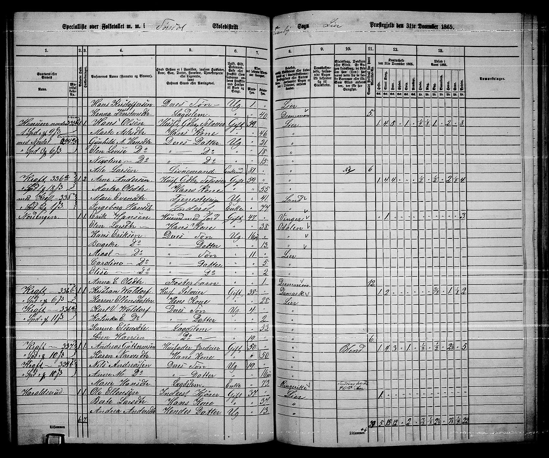 RA, 1865 census for Lier, 1865, p. 179