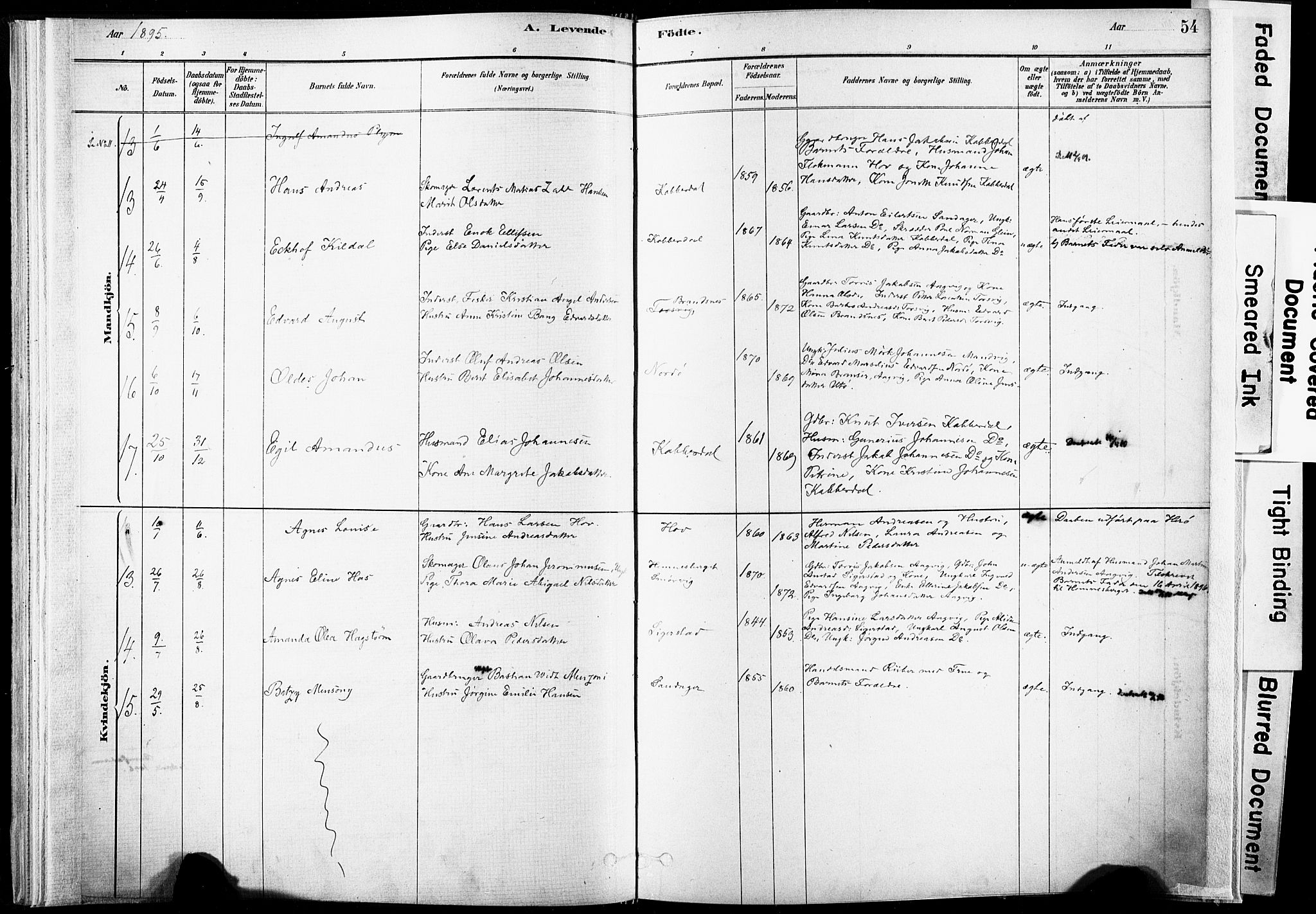 Ministerialprotokoller, klokkerbøker og fødselsregistre - Nordland, AV/SAT-A-1459/835/L0525: Parish register (official) no. 835A03I, 1881-1910, p. 54