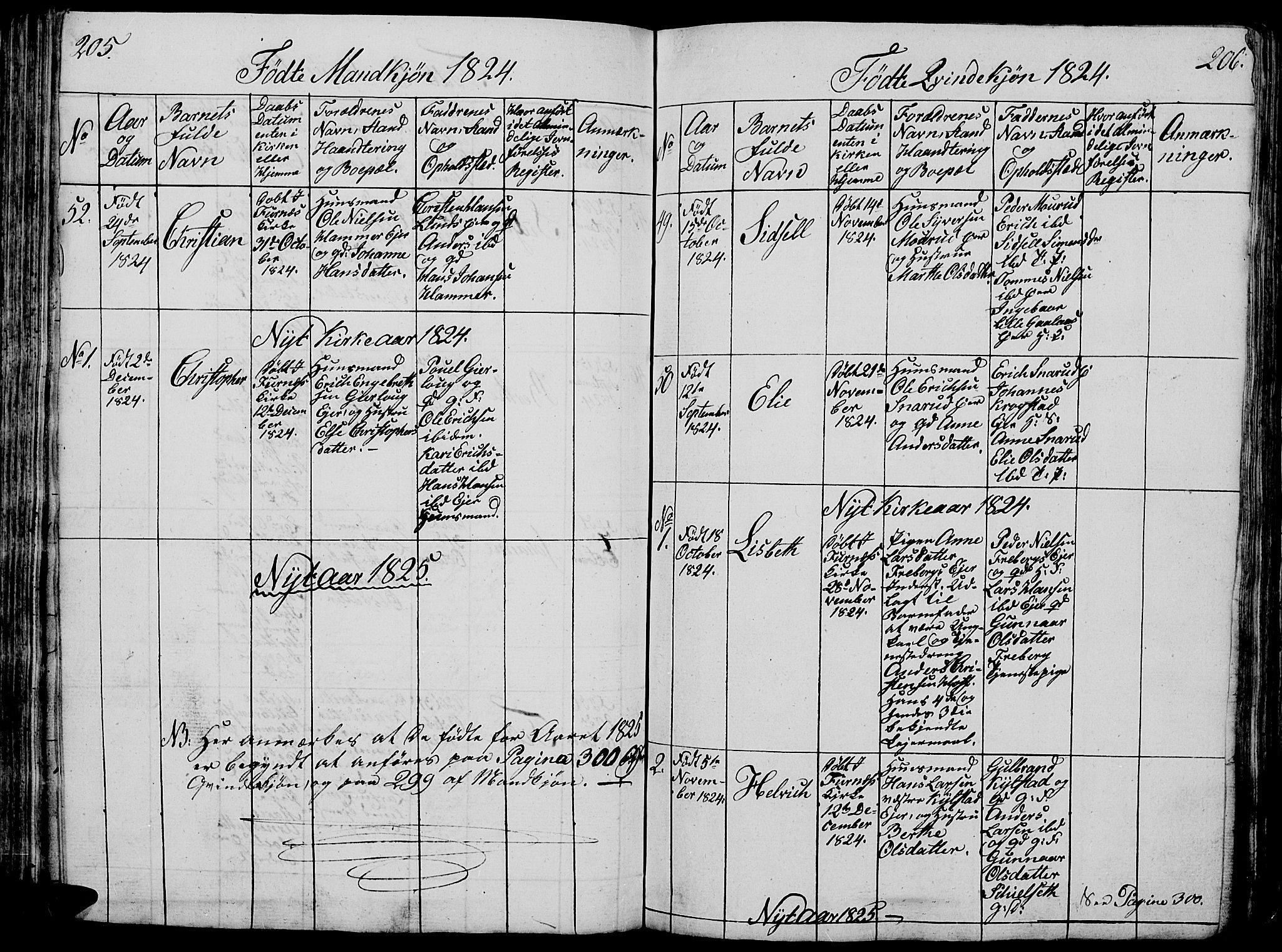Vang prestekontor, Hedmark, SAH/PREST-008/H/Ha/Hab/L0005: Parish register (copy) no. 5, 1815-1836, p. 205-206