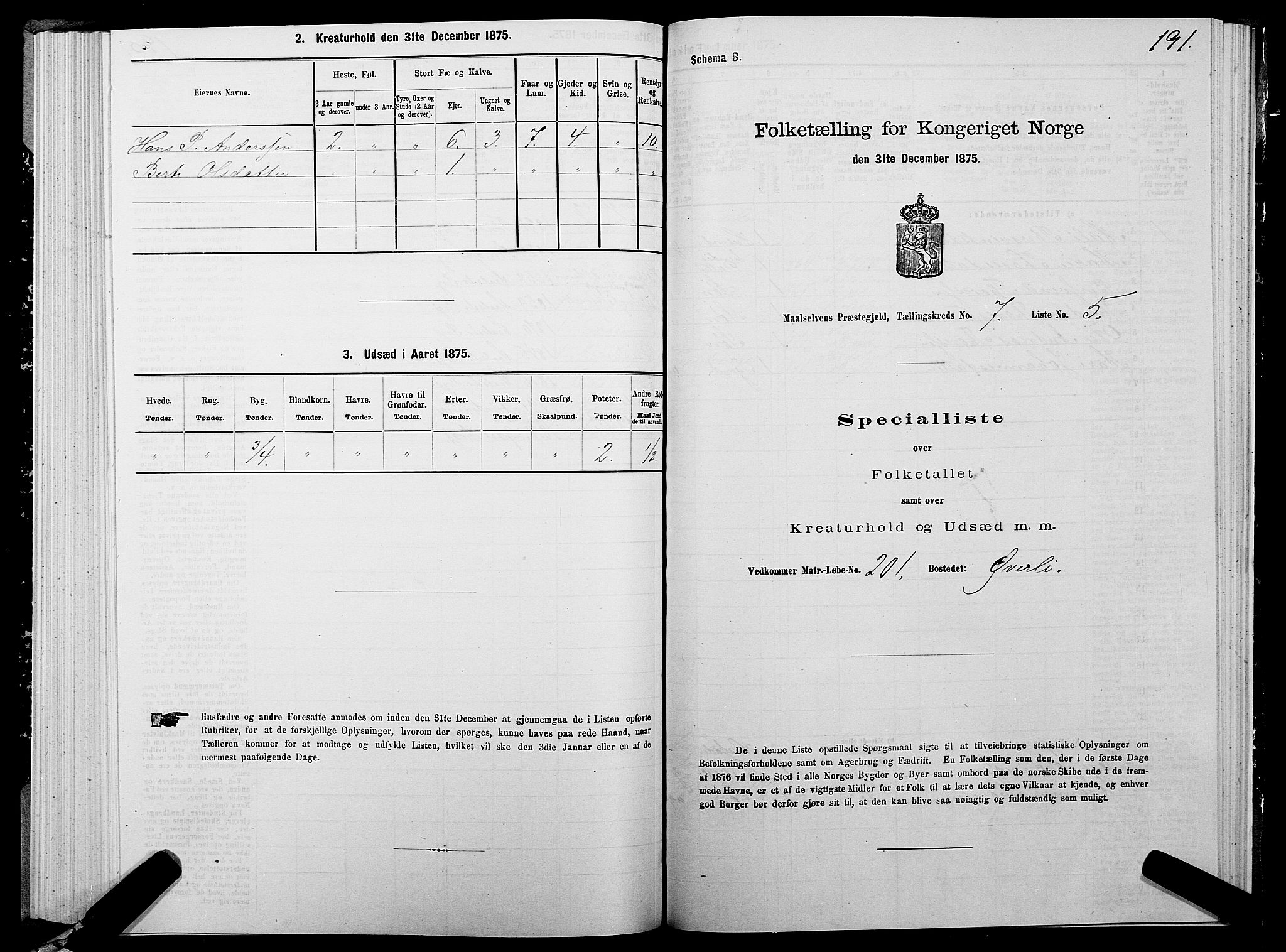 SATØ, 1875 census for 1924P Målselv, 1875, p. 3191