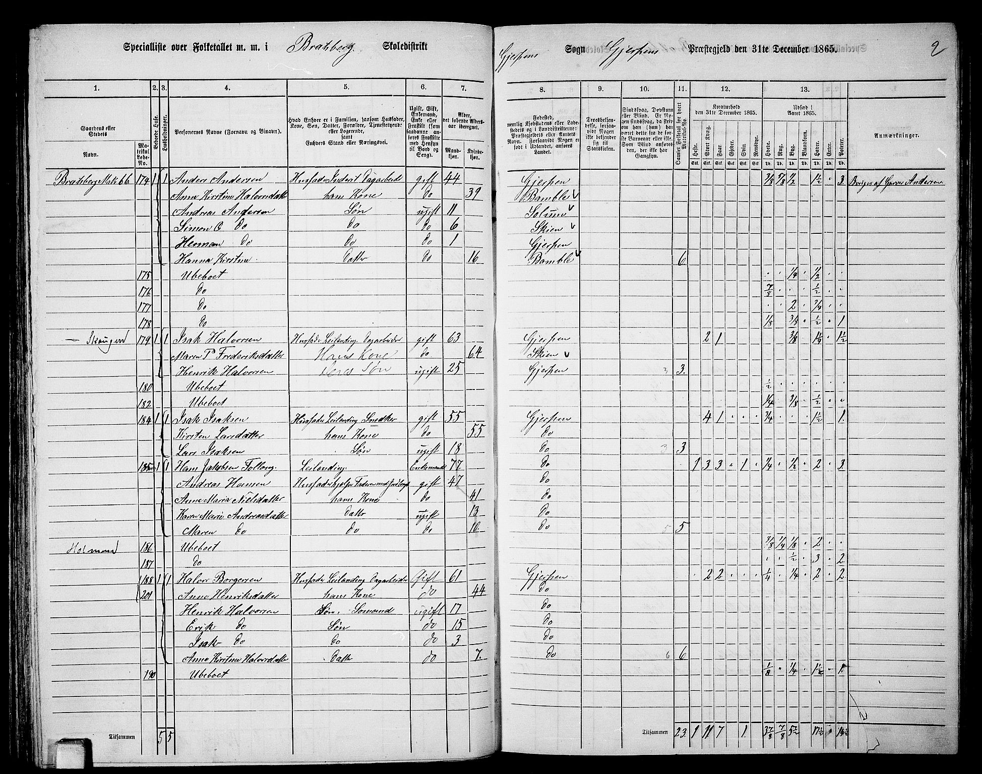 RA, 1865 census for Gjerpen, 1865, p. 110