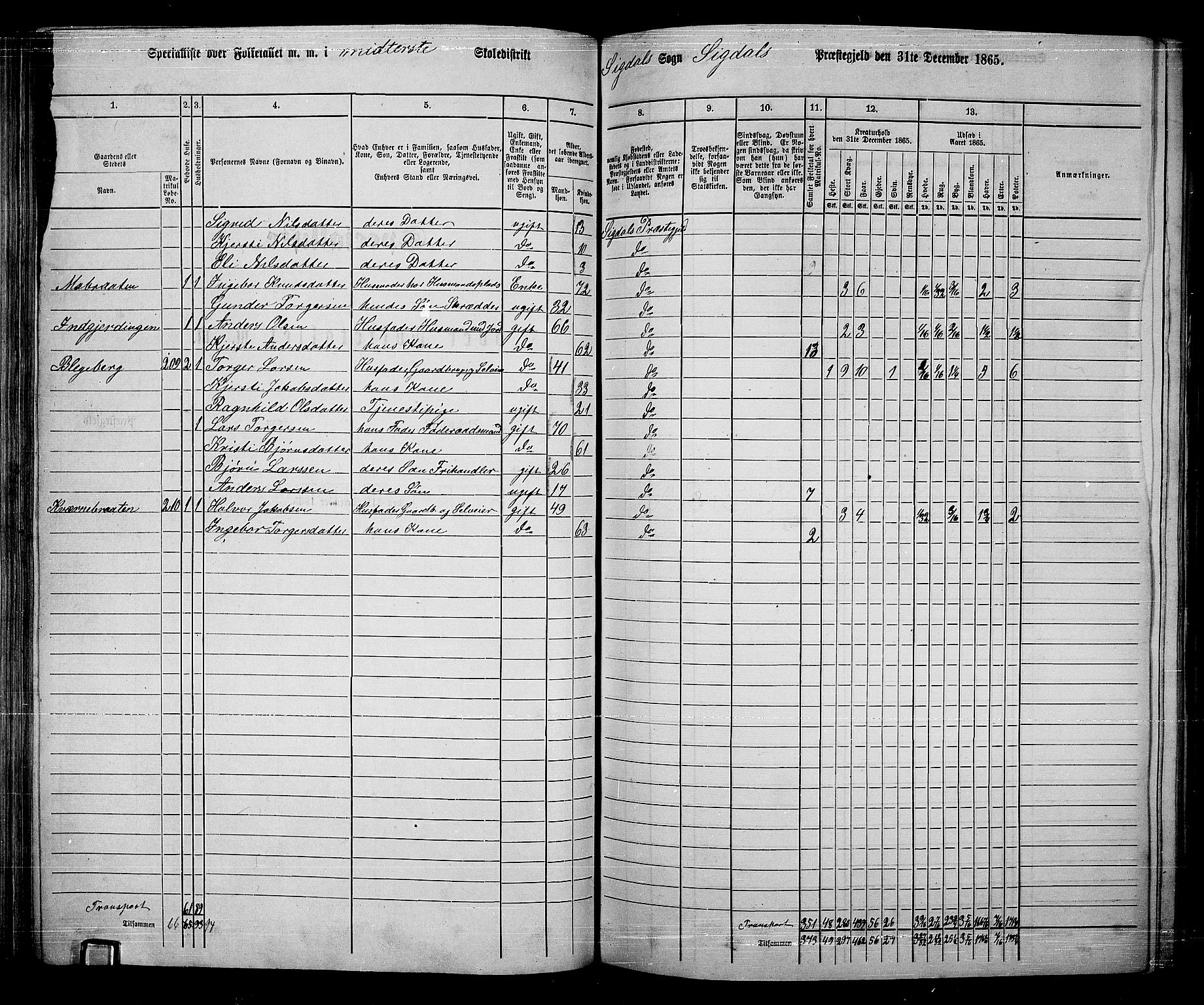 RA, 1865 census for Sigdal, 1865, p. 118