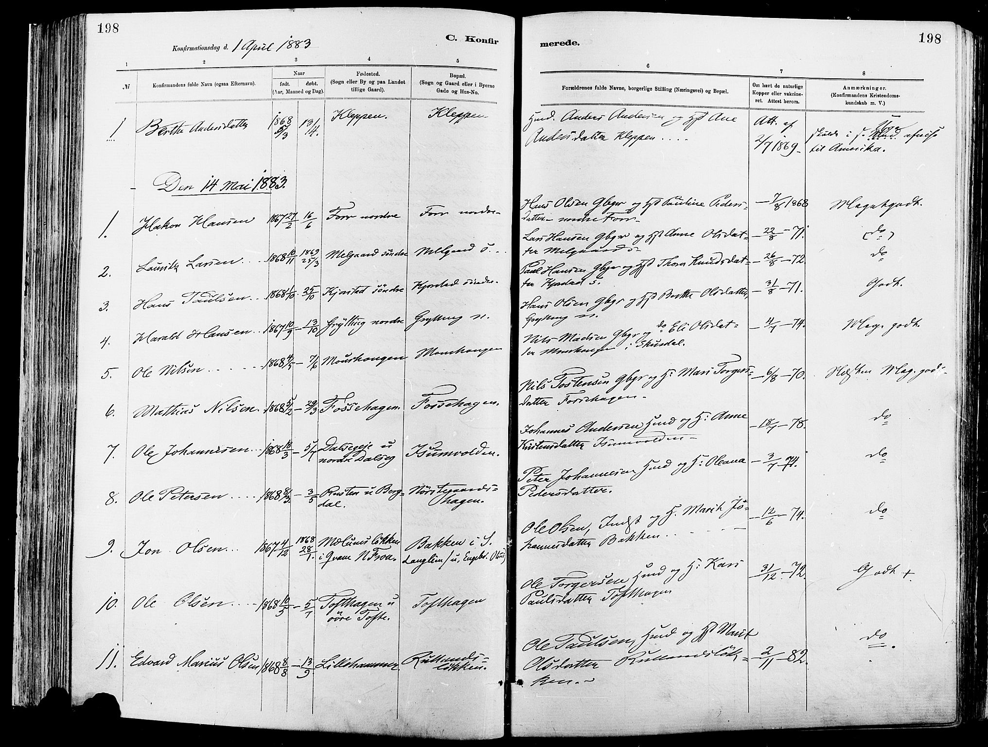 Sør-Fron prestekontor, AV/SAH-PREST-010/H/Ha/Haa/L0003: Parish register (official) no. 3, 1881-1897, p. 198