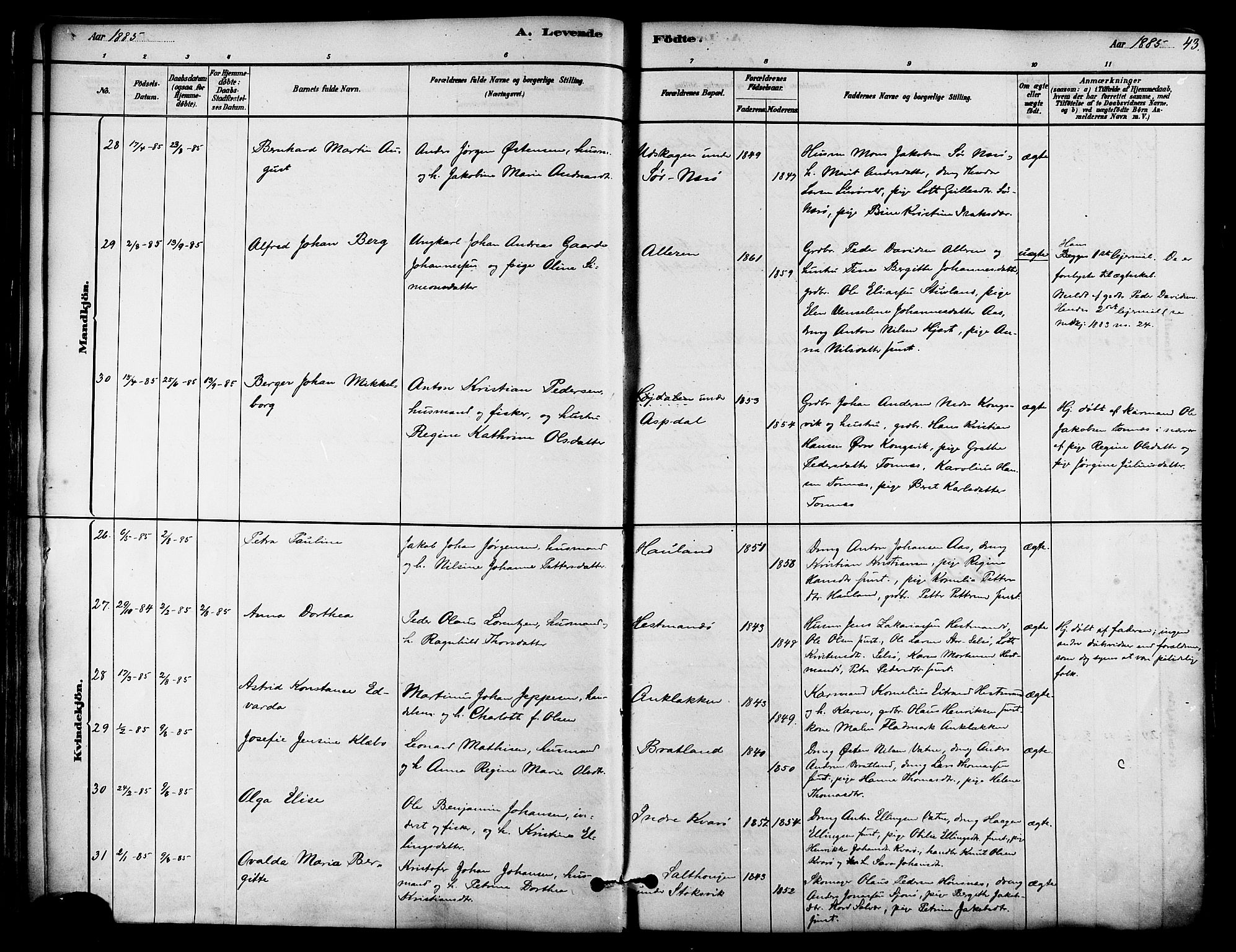 Ministerialprotokoller, klokkerbøker og fødselsregistre - Nordland, AV/SAT-A-1459/839/L0568: Parish register (official) no. 839A05, 1880-1902, p. 43