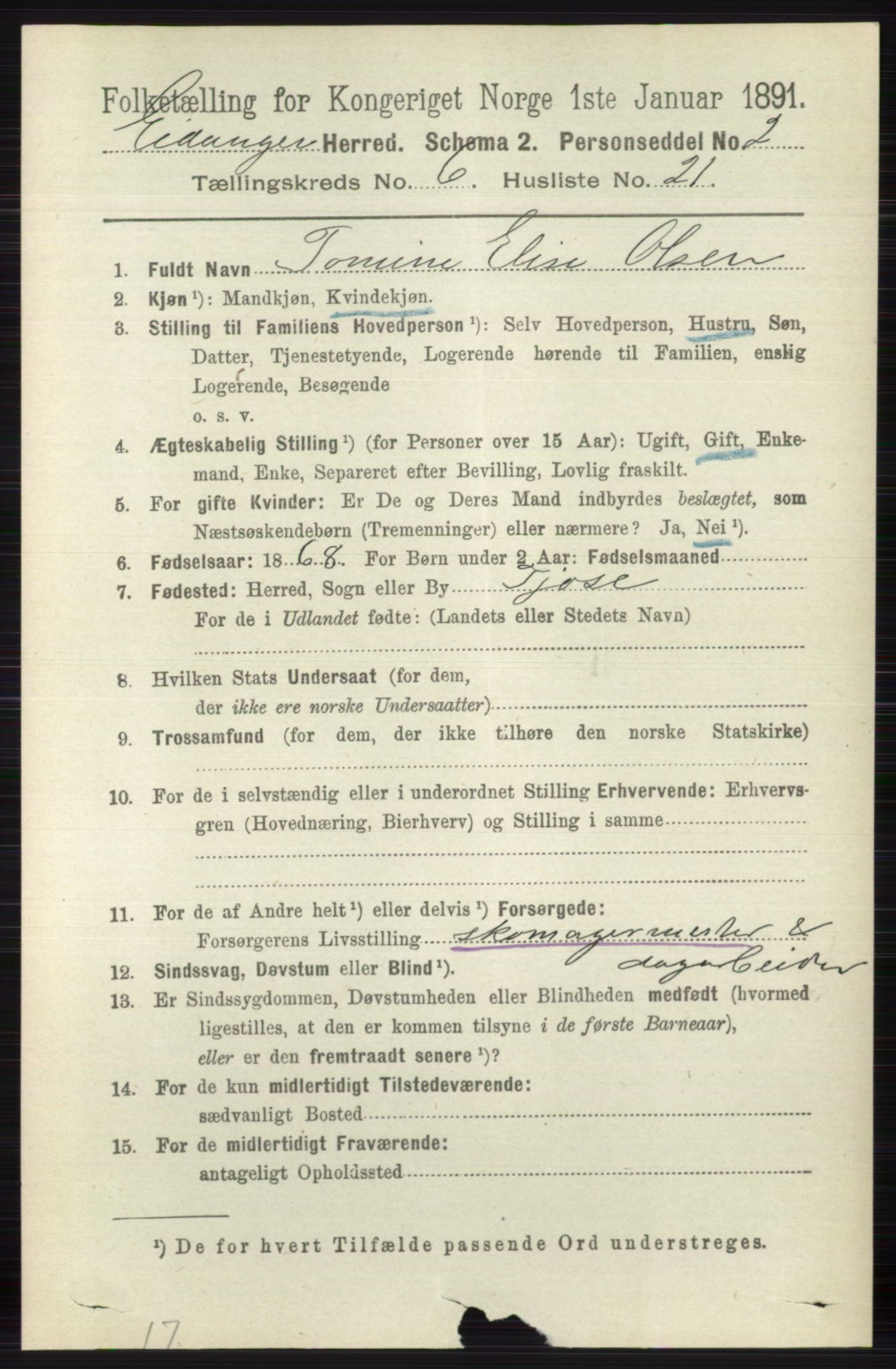 RA, 1891 census for 0813 Eidanger, 1891, p. 2722